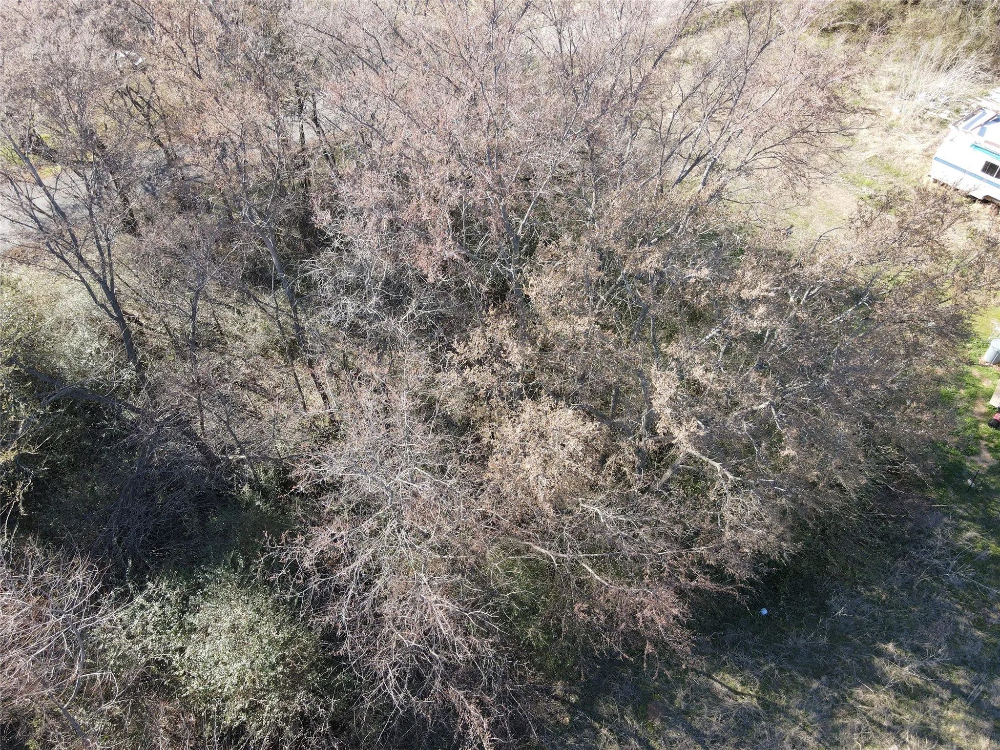 Unimproved Land For Sale in Grayson County , Lots 536 & 537 Choctaw Drive, Gordonville, Texas 76245, 0, 0, Garage spaces, 0 Sqft, built in 0, mls#21188525, Real Estate Agent in Gordonville, Homes For Sale in Grayson county, Homes For Sale in Gordonville, Realtor in Gordonville Texas, Real Estate Brokerage Independent Realty Texas, Luminita Cordes Realtor