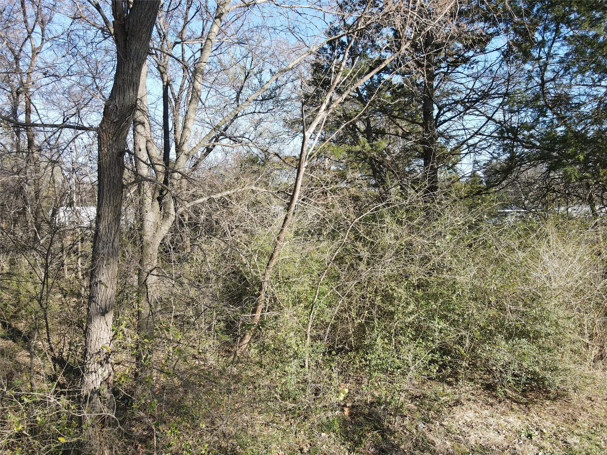 Unimproved Land For Sale in Grayson County , Lots 536 & 537 Choctaw Drive, Gordonville, Texas 76245, 0, 0, Garage spaces, 0 Sqft, built in 0, mls#21188525, Real Estate Agent in Gordonville, Homes For Sale in Grayson county, Homes For Sale in Gordonville, Realtor in Gordonville Texas, Real Estate Brokerage Independent Realty Texas, Luminita Cordes Realtor