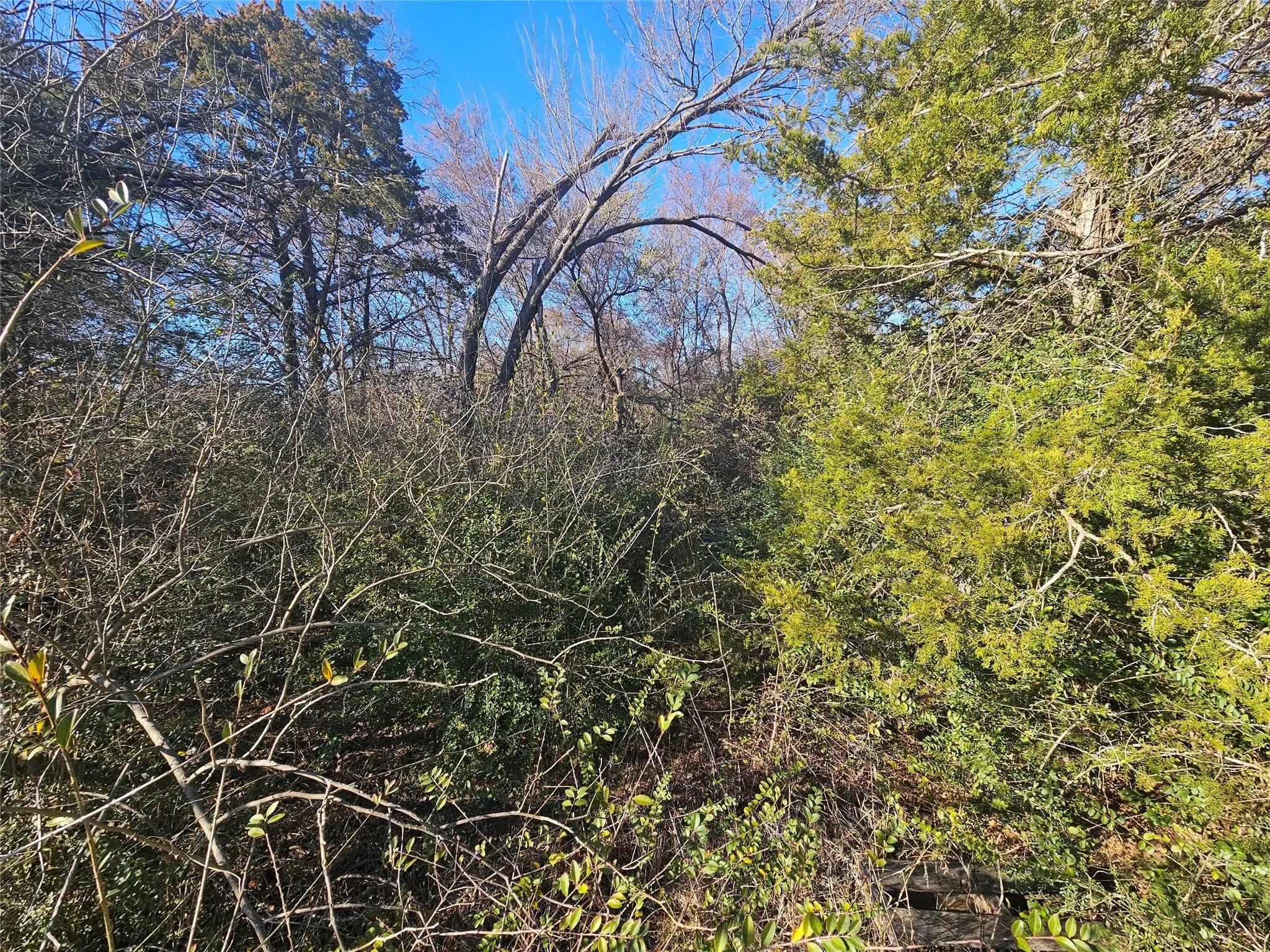 Unimproved Land For Sale in Grayson County , Lots 536 & 537 Choctaw Drive, Gordonville, Texas 76245, 0, 0, Garage spaces, 0 Sqft, built in 0, mls#21188525, Real Estate Agent in Gordonville, Homes For Sale in Grayson county, Homes For Sale in Gordonville, Realtor in Gordonville Texas, Real Estate Brokerage Independent Realty Texas, Luminita Cordes Realtor