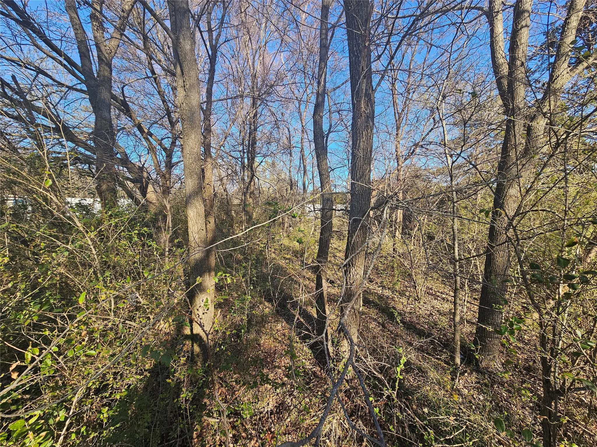 Unimproved Land For Sale in Grayson County , Lots 536 & 537 Choctaw Drive, Gordonville, Texas 76245, 0, 0, Garage spaces, 0 Sqft, built in 0, mls#21188525, Real Estate Agent in Gordonville, Homes For Sale in Grayson county, Homes For Sale in Gordonville, Realtor in Gordonville Texas, Real Estate Brokerage Independent Realty Texas, Luminita Cordes Realtor
