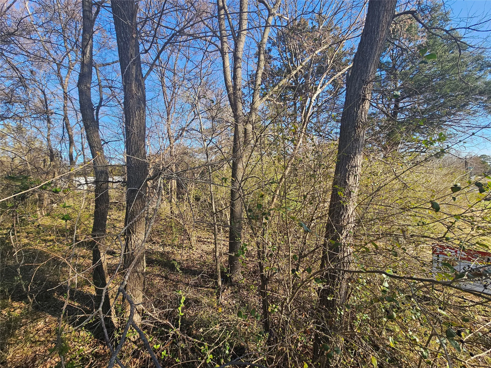 Unimproved Land For Sale in Grayson County , Lots 536 & 537 Choctaw Drive, Gordonville, Texas 76245, 0, 0, Garage spaces, 0 Sqft, built in 0, mls#21188525, Real Estate Agent in Gordonville, Homes For Sale in Grayson county, Homes For Sale in Gordonville, Realtor in Gordonville Texas, Real Estate Brokerage Independent Realty Texas, Luminita Cordes Realtor