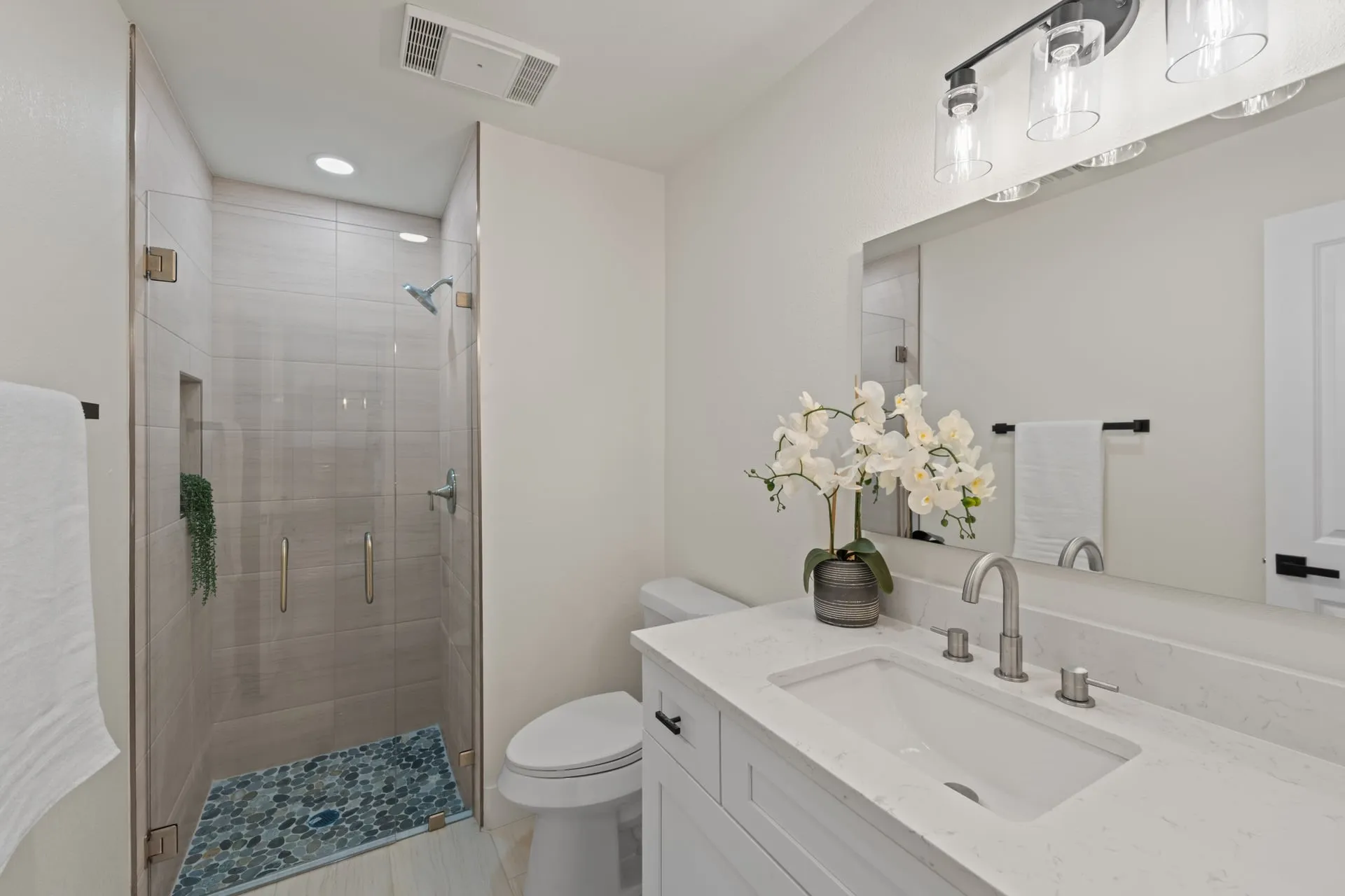 Downstairs Guest Bath