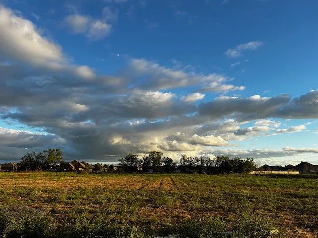Unimproved Land For Sale in Hunt County , 4819 Marian Lane, Royse City, Texas 75189, 0, 0, Garage spaces, 0 Sqft, built in 0, mls#21187724, Real Estate Agent in Royse City, Homes For Sale in Hunt county, Homes For Sale in Royse City, Realtor in Royse City Texas, Real Estate Brokerage Independent Realty Texas, Luminita Cordes Realtor