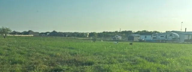 Unimproved Land For Sale in Hunt County , 4819 Marian Lane, Royse City, Texas 75189, 0, 0, Garage spaces, 0 Sqft, built in 0, mls#21187724, Real Estate Agent in Royse City, Homes For Sale in Hunt county, Homes For Sale in Royse City, Realtor in Royse City Texas, Real Estate Brokerage Independent Realty Texas, Luminita Cordes Realtor