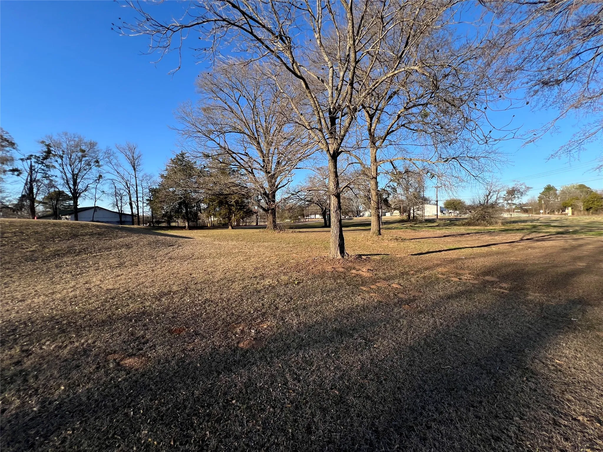 Unimproved Land For Sale in Van Zandt County , 0000 Hwy 243 and 64, Canton, Texas 75103, 0, 0, Garage spaces, 0 Sqft, built in 0, Unknown, mls#21184350, Real Estate Agent in Canton, Homes For Sale in Van Zandt county, Homes For Sale in Canton, Realtor in Canton Texas, Real Estate Brokerage Independent Realty Texas, Luminita Cordes Realtor