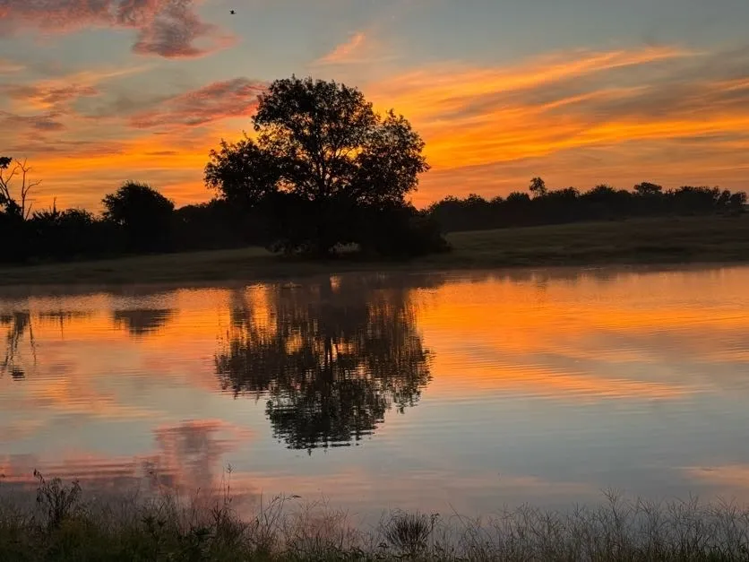 Improved Land For Sale in Wood County , Lot 23 FM 514 Road, Yantis, Texas 75497, 0, 0, Garage spaces, 0 Sqft, built in 2023, mls#21188757, Real Estate Agent in Yantis, Homes For Sale in Wood county, Homes For Sale in Yantis, Realtor in Yantis Texas, Real Estate Brokerage Independent Realty Texas, Luminita Cordes Realtor