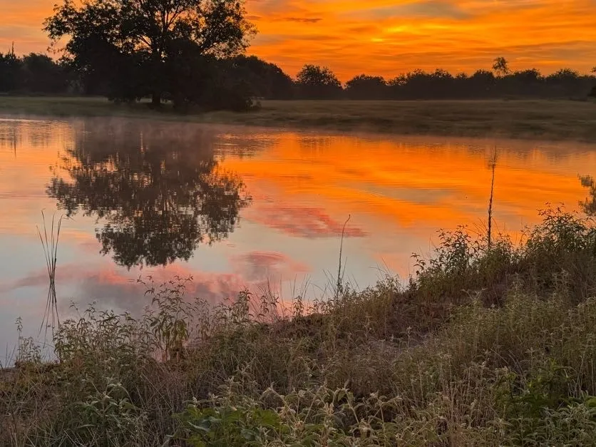 Improved Land For Sale in Wood County , Lot 23 FM 514 Road, Yantis, Texas 75497, 0, 0, Garage spaces, 0 Sqft, built in 2023, mls#21188757, Real Estate Agent in Yantis, Homes For Sale in Wood county, Homes For Sale in Yantis, Realtor in Yantis Texas, Real Estate Brokerage Independent Realty Texas, Luminita Cordes Realtor
