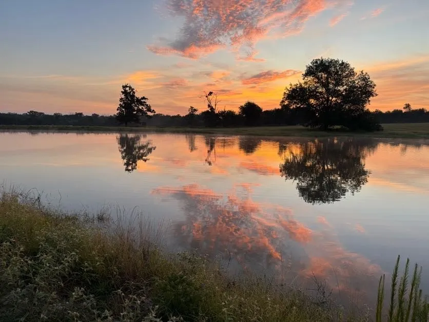 Improved Land For Sale in Wood County , Lot 23 FM 514 Road, Yantis, Texas 75497, 0, 0, Garage spaces, 0 Sqft, built in 2023, mls#21188757, Real Estate Agent in Yantis, Homes For Sale in Wood county, Homes For Sale in Yantis, Realtor in Yantis Texas, Real Estate Brokerage Independent Realty Texas, Luminita Cordes Realtor