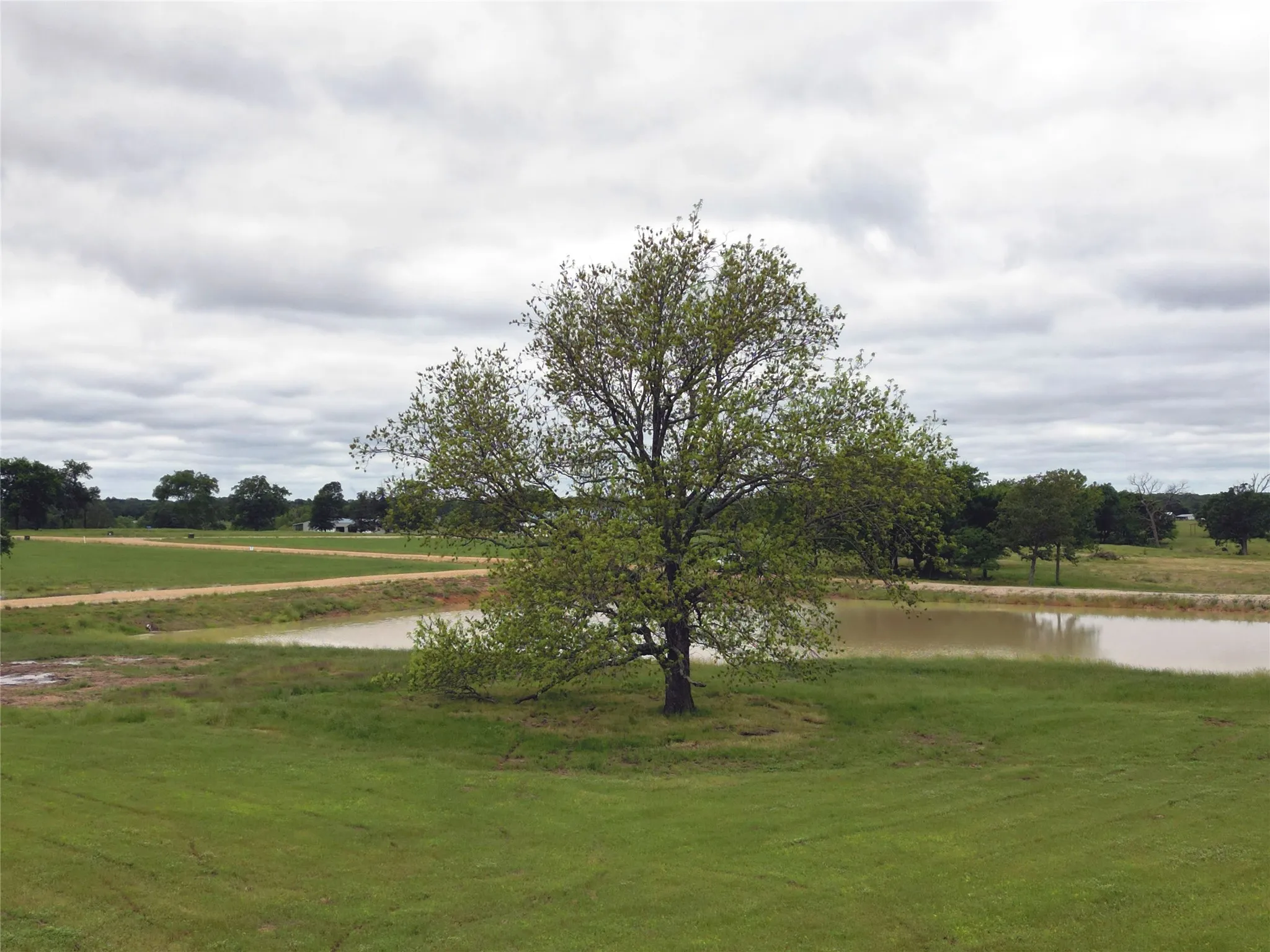 Improved Land For Sale in Wood County , Lot 23 FM 514 Road, Yantis, Texas 75497, 0, 0, Garage spaces, 0 Sqft, built in 2023, mls#21188757, Real Estate Agent in Yantis, Homes For Sale in Wood county, Homes For Sale in Yantis, Realtor in Yantis Texas, Real Estate Brokerage Independent Realty Texas, Luminita Cordes Realtor