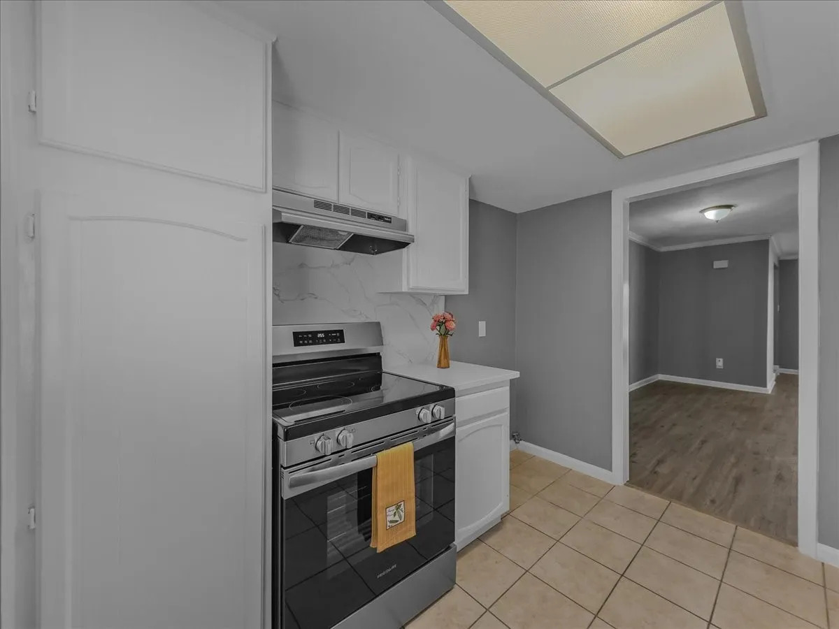 New stove and vent hood