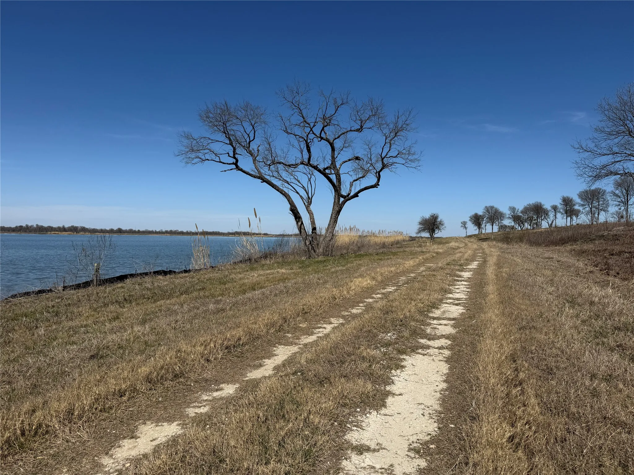 Unimproved Land For Sale in Navarro County , Lot 92 Shoreside Drive, Corsicana, Texas 75109, 0, 0, Garage spaces, 0 Sqft, built in 0, Price $210,000, mls#21188226, Real Estate Agent in Corsicana, Homes For Sale in Navarro county, Homes For Sale in Corsicana, Realtor in Corsicana Texas, Real Estate Brokerage Independent Realty Texas, Luminita Cordes Realtor