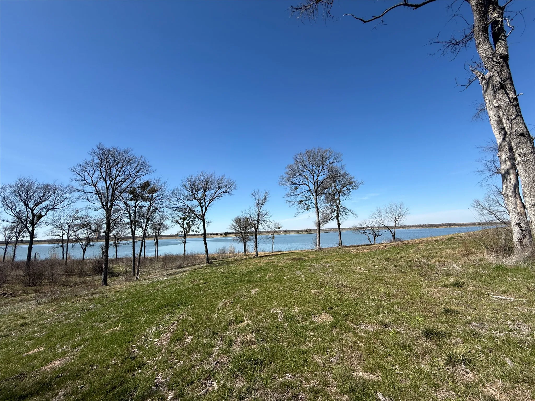 Unimproved Land For Sale in Navarro County , Lot 92 Shoreside Drive, Corsicana, Texas 75109, 0, 0, Garage spaces, 0 Sqft, built in 0, Price $210,000, mls#21188226, Real Estate Agent in Corsicana, Homes For Sale in Navarro county, Homes For Sale in Corsicana, Realtor in Corsicana Texas, Real Estate Brokerage Independent Realty Texas, Luminita Cordes Realtor