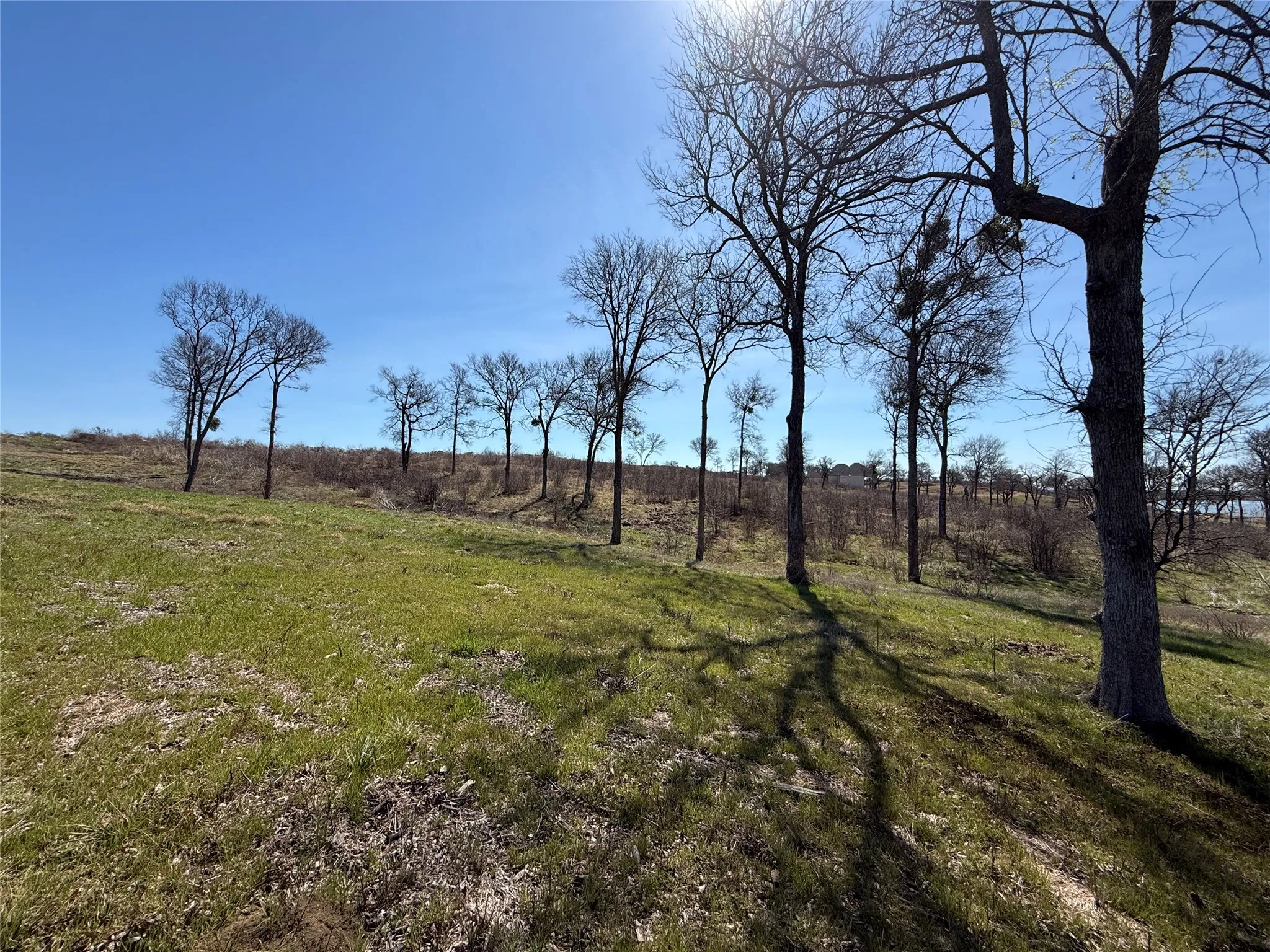 Unimproved Land For Sale in Navarro County , Lot 92 Shoreside Drive, Corsicana, Texas 75109, 0, 0, Garage spaces, 0 Sqft, built in 0, Price $210,000, mls#21188226, Real Estate Agent in Corsicana, Homes For Sale in Navarro county, Homes For Sale in Corsicana, Realtor in Corsicana Texas, Real Estate Brokerage Independent Realty Texas, Luminita Cordes Realtor