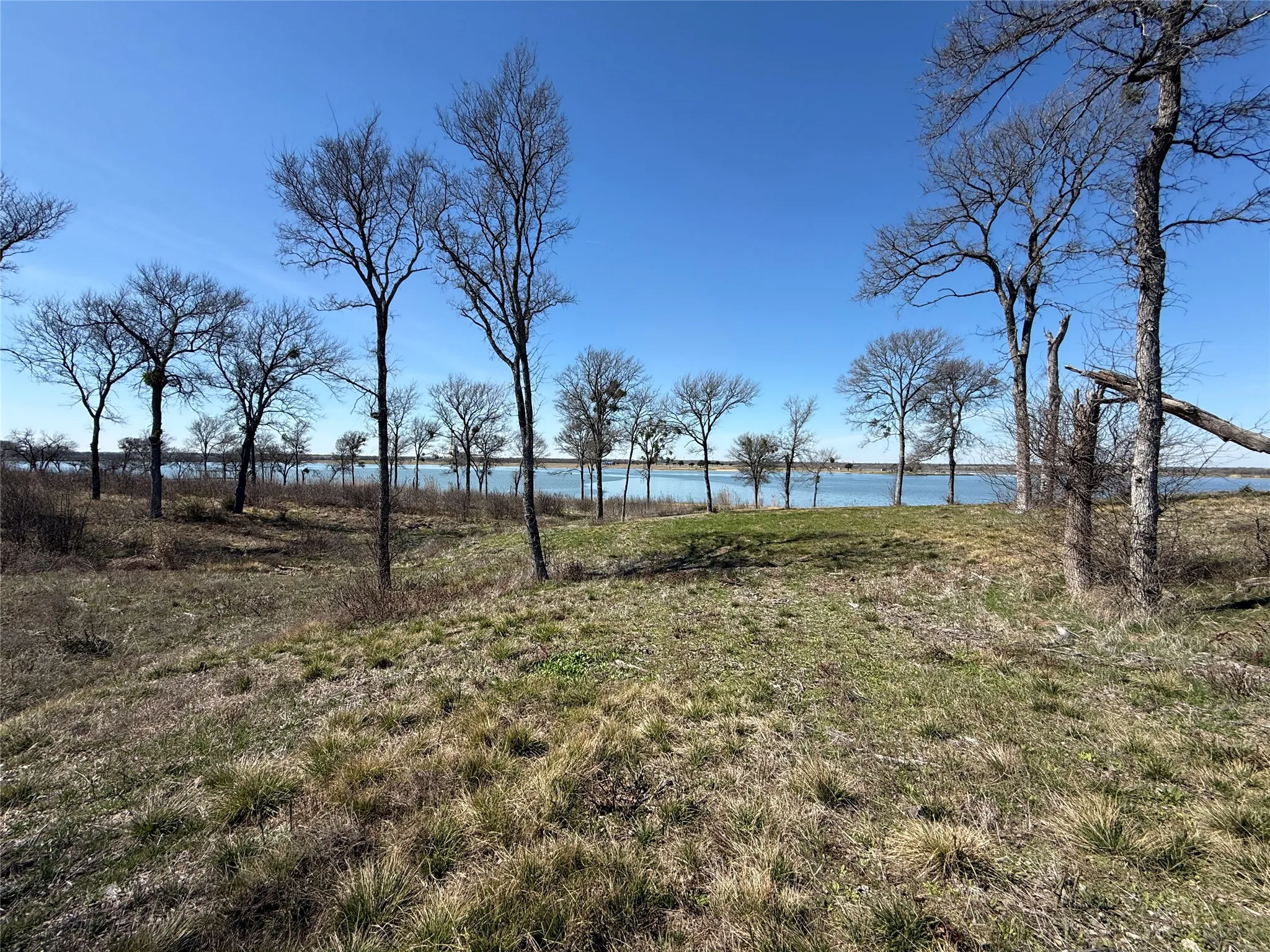 Unimproved Land For Sale in Navarro County , Lot 92 Shoreside Drive, Corsicana, Texas 75109, 0, 0, Garage spaces, 0 Sqft, built in 0, Price $210,000, mls#21188226, Real Estate Agent in Corsicana, Homes For Sale in Navarro county, Homes For Sale in Corsicana, Realtor in Corsicana Texas, Real Estate Brokerage Independent Realty Texas, Luminita Cordes Realtor