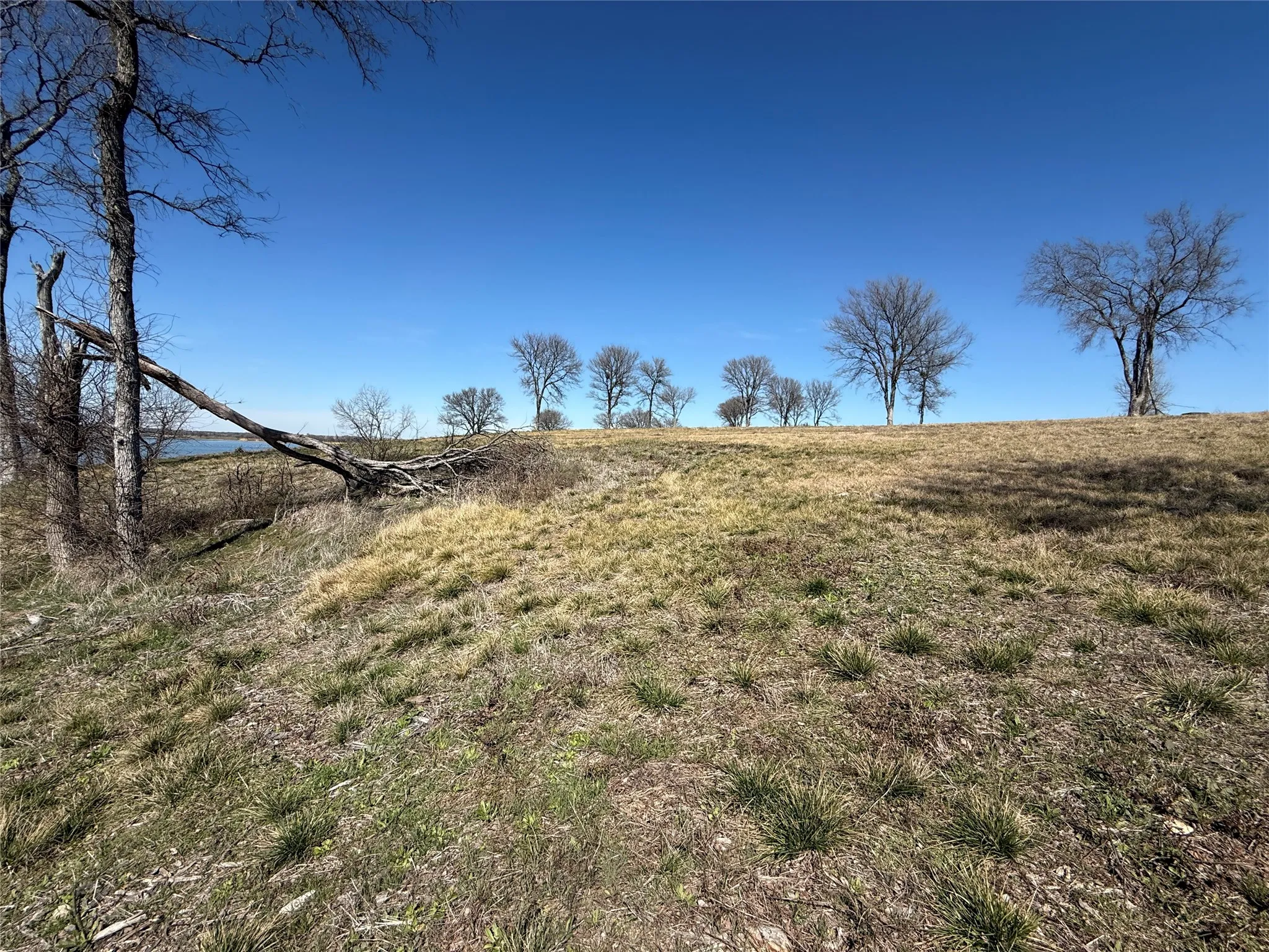 Unimproved Land For Sale in Navarro County , Lot 92 Shoreside Drive, Corsicana, Texas 75109, 0, 0, Garage spaces, 0 Sqft, built in 0, Price $210,000, mls#21188226, Real Estate Agent in Corsicana, Homes For Sale in Navarro county, Homes For Sale in Corsicana, Realtor in Corsicana Texas, Real Estate Brokerage Independent Realty Texas, Luminita Cordes Realtor