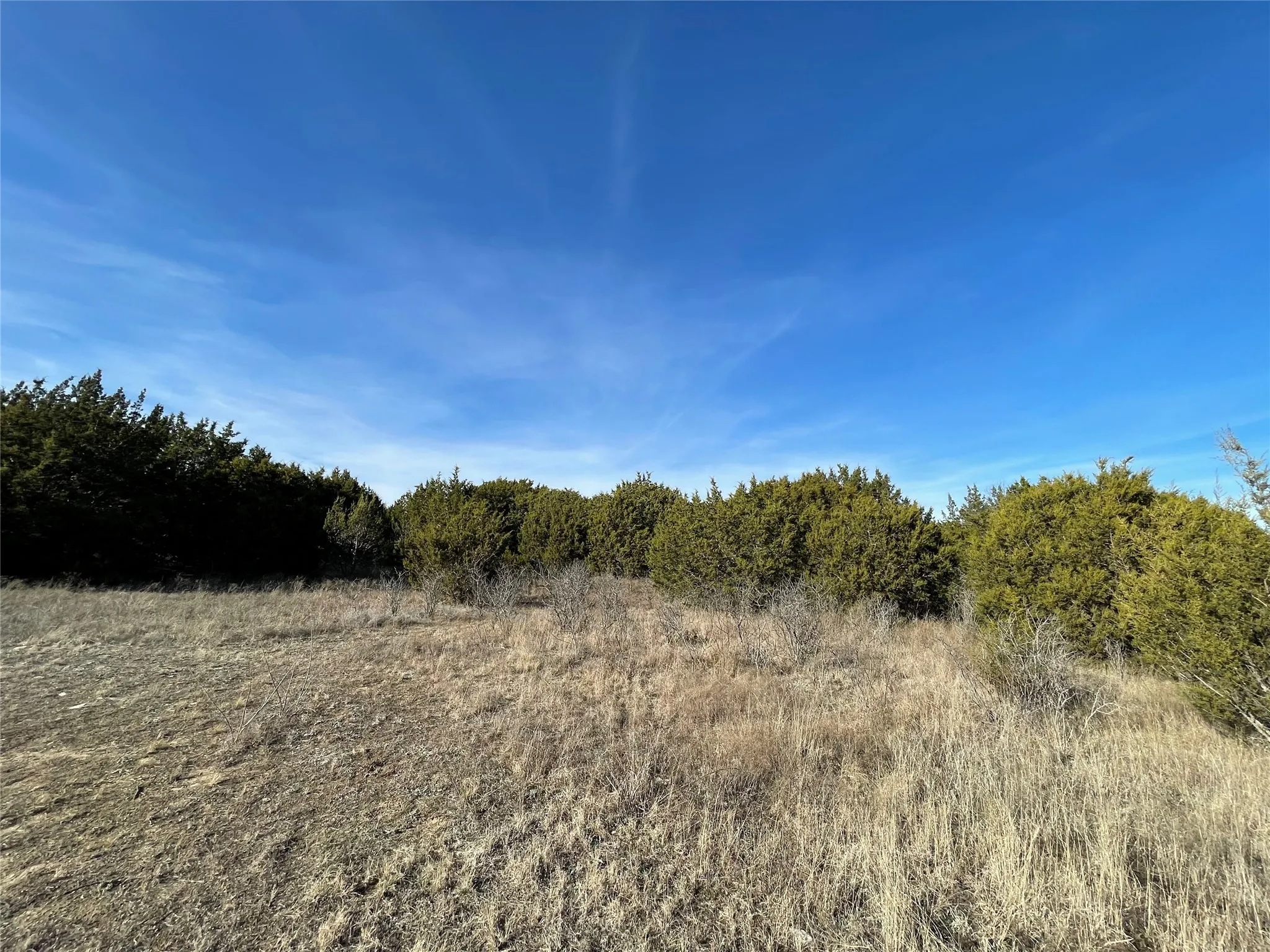 Unimproved Land For Sale in Hamilton County , 4986 County Road 607, Hamilton, Texas 76455, 0, 0, Garage spaces, 0 Sqft, built in 0, Price $449,306, mls#21188972, Real Estate Agent in Hamilton, Homes For Sale in Hamilton county, Homes For Sale in Hamilton, Realtor in Hamilton Texas, Real Estate Brokerage Independent Realty Texas, Luminita Cordes Realtor