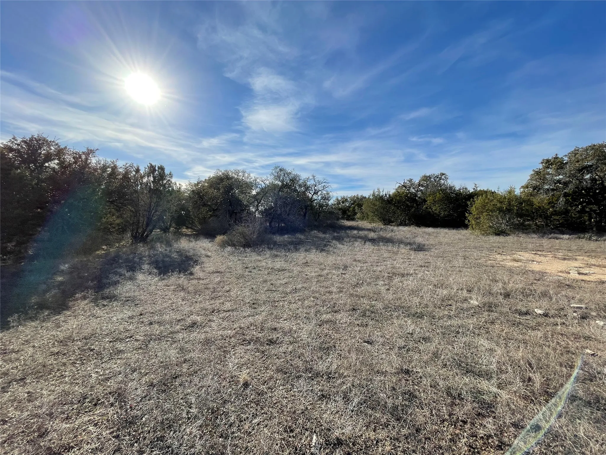Mixed live oak and hard wood trees