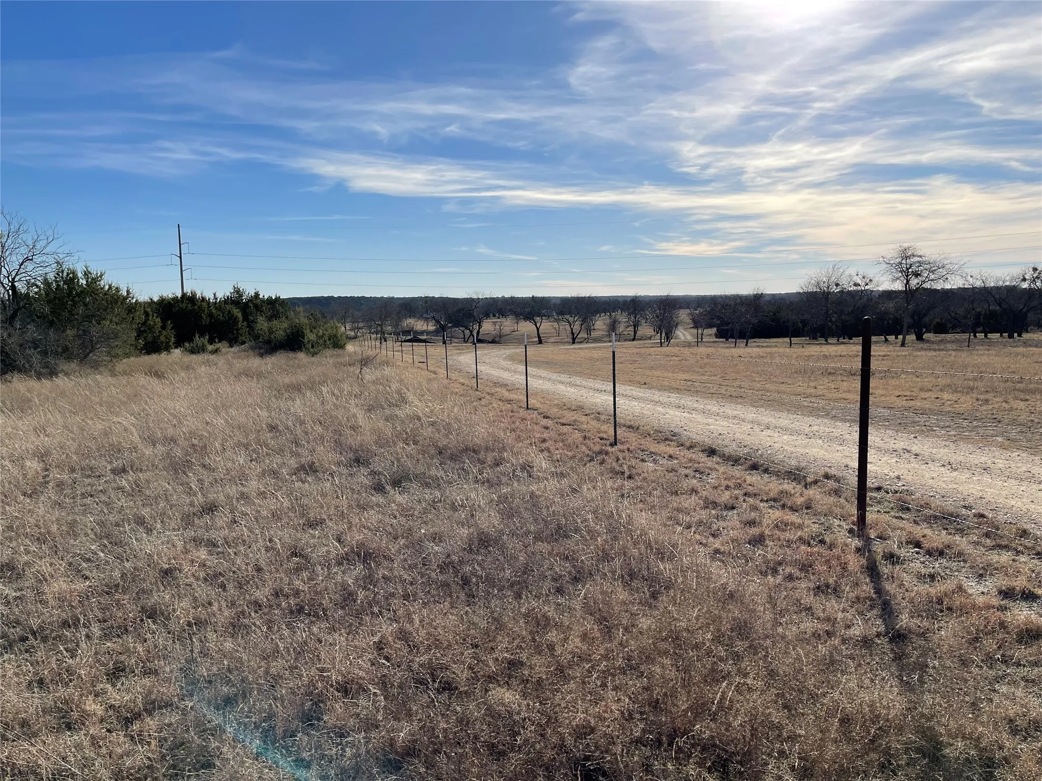 West side fence