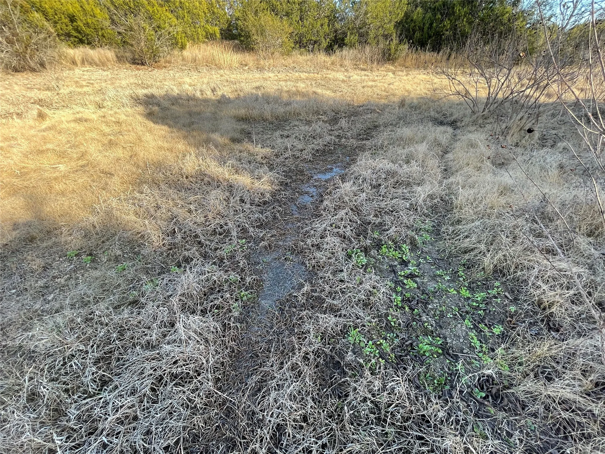 Unimproved Land For Sale in Hamilton County , 4986 County Road 607, Hamilton, Texas 76455, 0, 0, Garage spaces, 0 Sqft, built in 0, Price $449,306, mls#21188972, Real Estate Agent in Hamilton, Homes For Sale in Hamilton county, Homes For Sale in Hamilton, Realtor in Hamilton Texas, Real Estate Brokerage Independent Realty Texas, Luminita Cordes Realtor