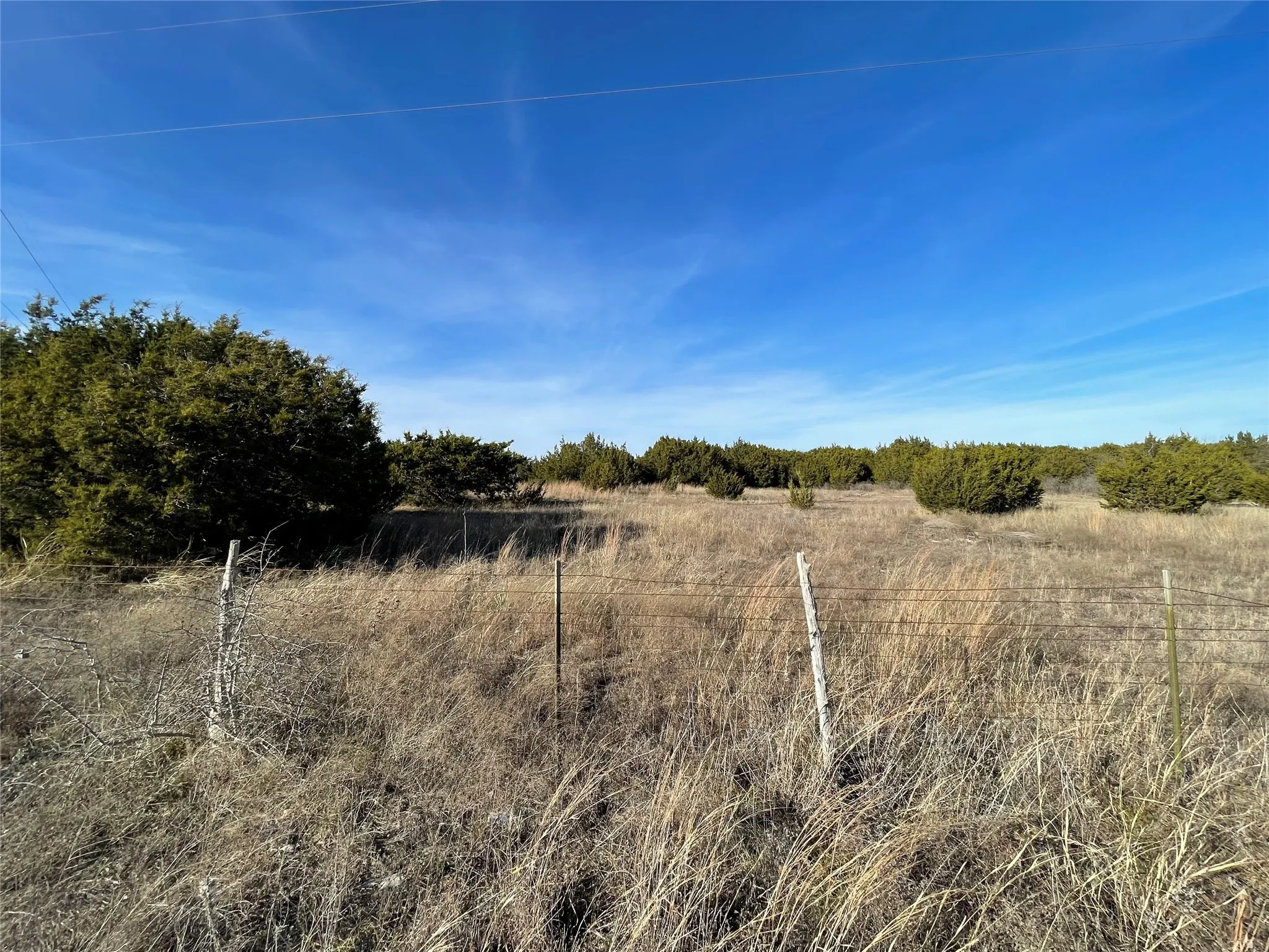Fence along road
