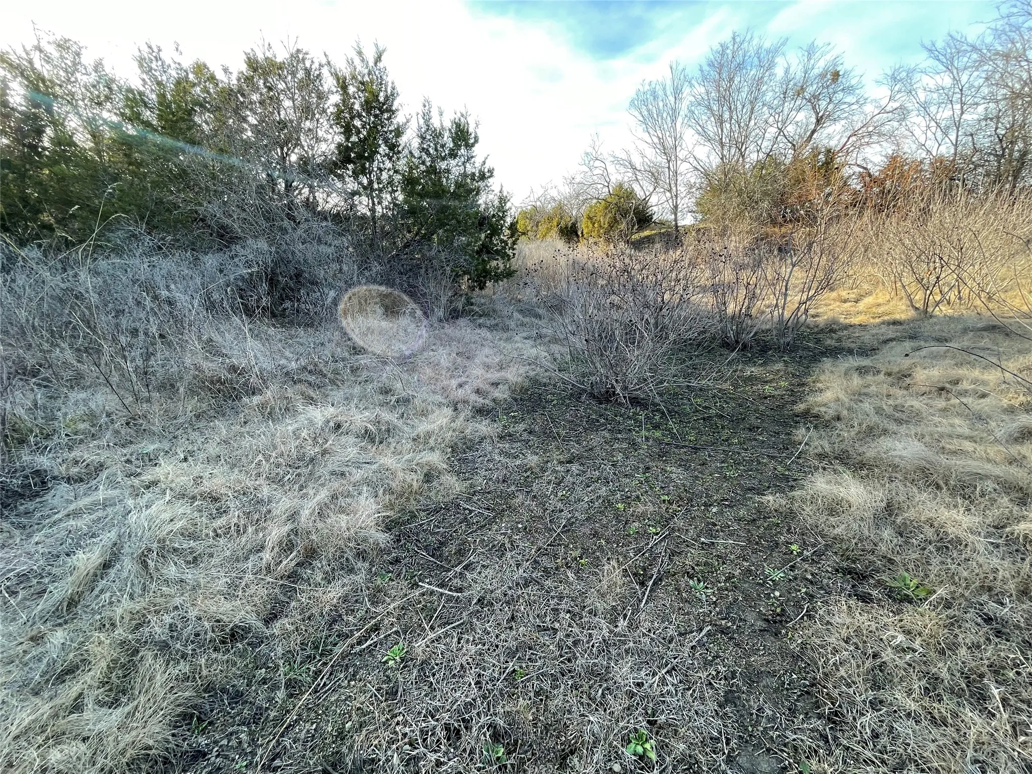Unimproved Land For Sale in Hamilton County , 4986 County Road 607, Hamilton, Texas 76455, 0, 0, Garage spaces, 0 Sqft, built in 0, Price $449,306, mls#21188972, Real Estate Agent in Hamilton, Homes For Sale in Hamilton county, Homes For Sale in Hamilton, Realtor in Hamilton Texas, Real Estate Brokerage Independent Realty Texas, Luminita Cordes Realtor