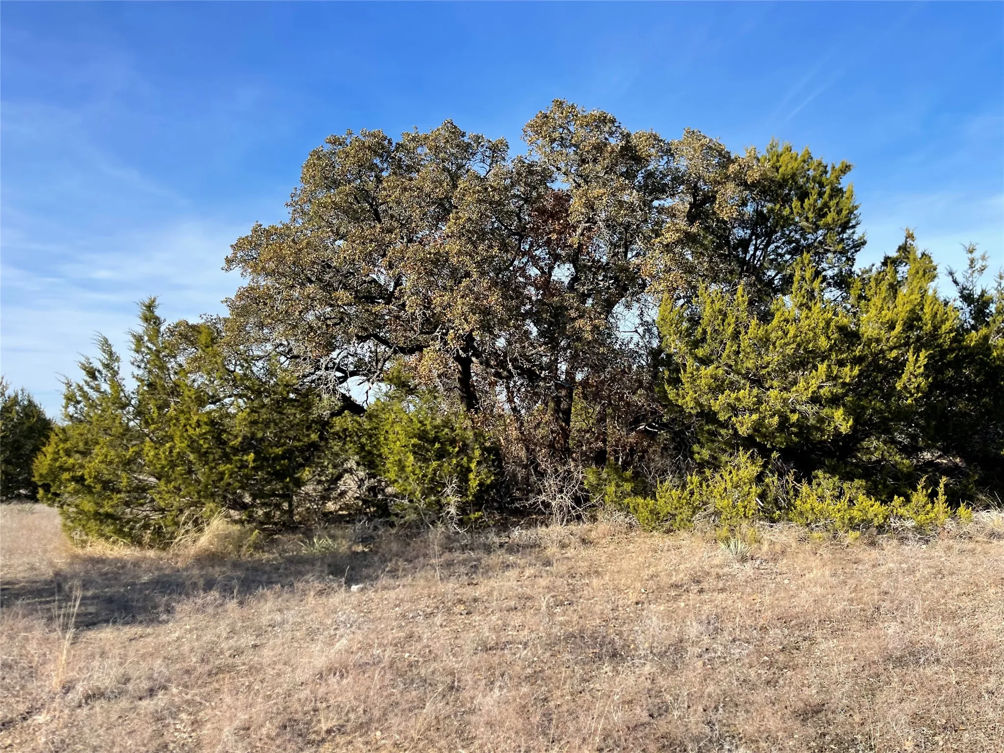 Unimproved Land For Sale in Hamilton County , 4986 County Road 607, Hamilton, Texas 76455, 0, 0, Garage spaces, 0 Sqft, built in 0, Price $449,306, mls#21188972, Real Estate Agent in Hamilton, Homes For Sale in Hamilton county, Homes For Sale in Hamilton, Realtor in Hamilton Texas, Real Estate Brokerage Independent Realty Texas, Luminita Cordes Realtor