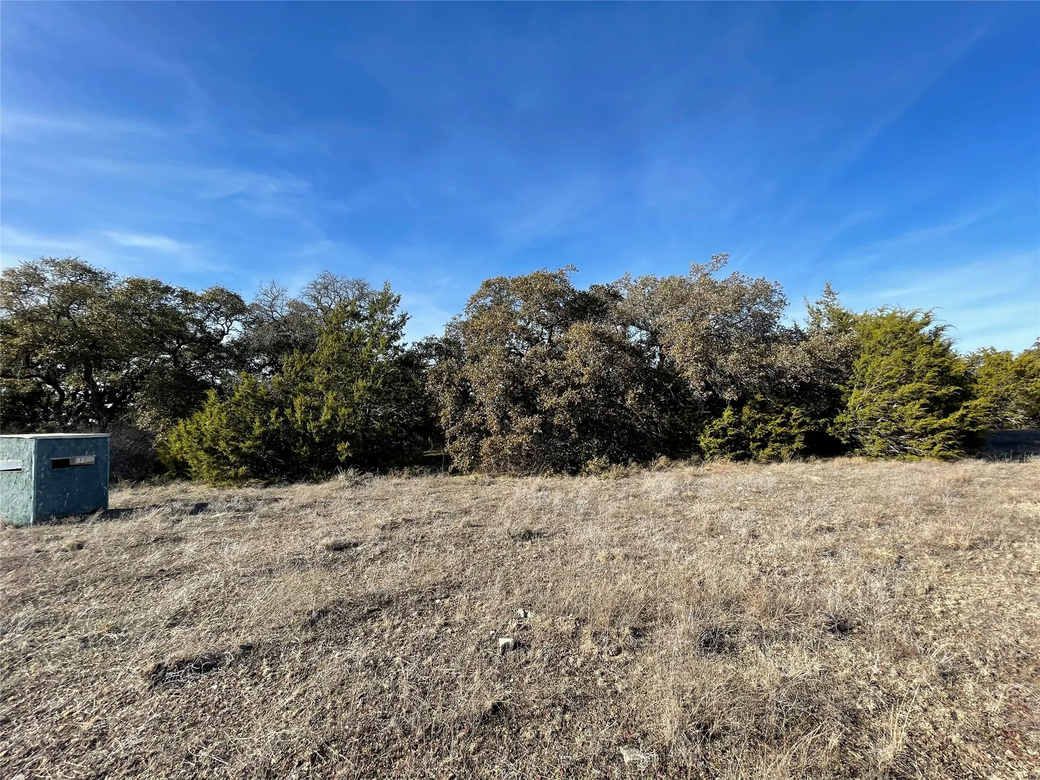 Mixed live oak and hard wood trees