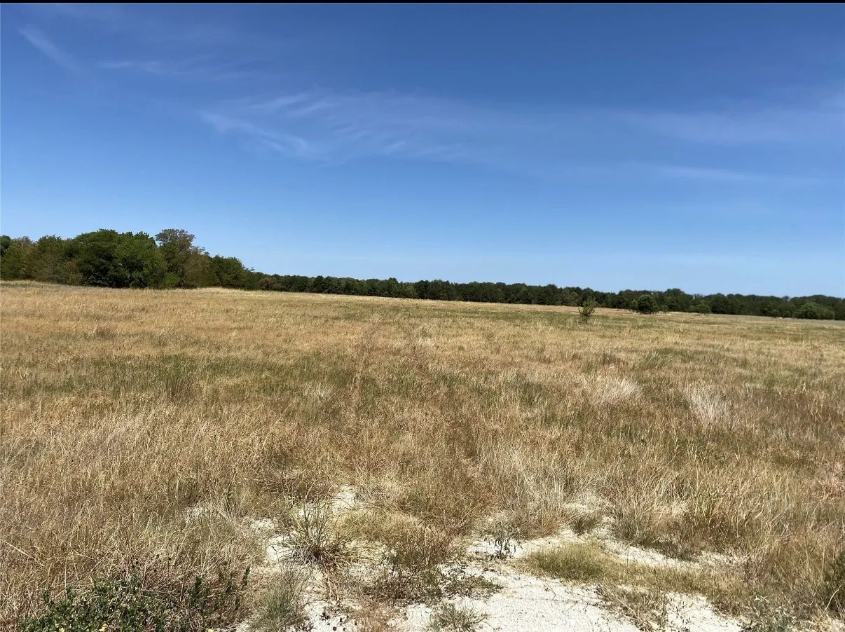 Unimproved Land For Sale in Navarro County , TBD SE County Road 4230, Kerens, Texas 75144, 0, 0, Garage spaces, 0 Sqft, built in 0, mls#21178816, Real Estate Agent in Kerens, Homes For Sale in Navarro county, Homes For Sale in Kerens, Realtor in Kerens Texas, Real Estate Brokerage Independent Realty Texas, Luminita Cordes Realtor