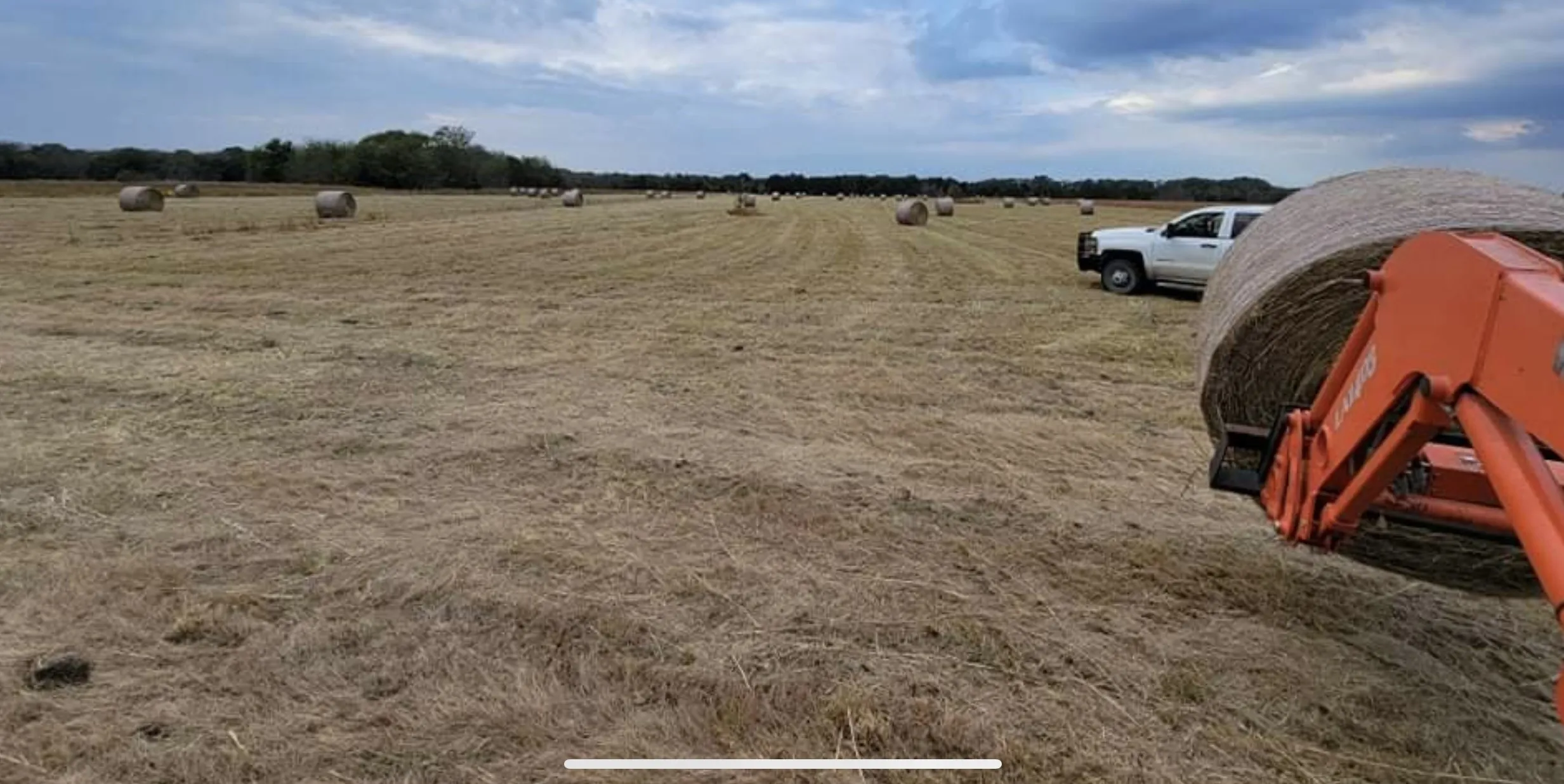 Unimproved Land For Sale in Navarro County , TBD SE County Road 4230, Kerens, Texas 75144, 0, 0, Garage spaces, 0 Sqft, built in 0, mls#21178816, Real Estate Agent in Kerens, Homes For Sale in Navarro county, Homes For Sale in Kerens, Realtor in Kerens Texas, Real Estate Brokerage Independent Realty Texas, Luminita Cordes Realtor