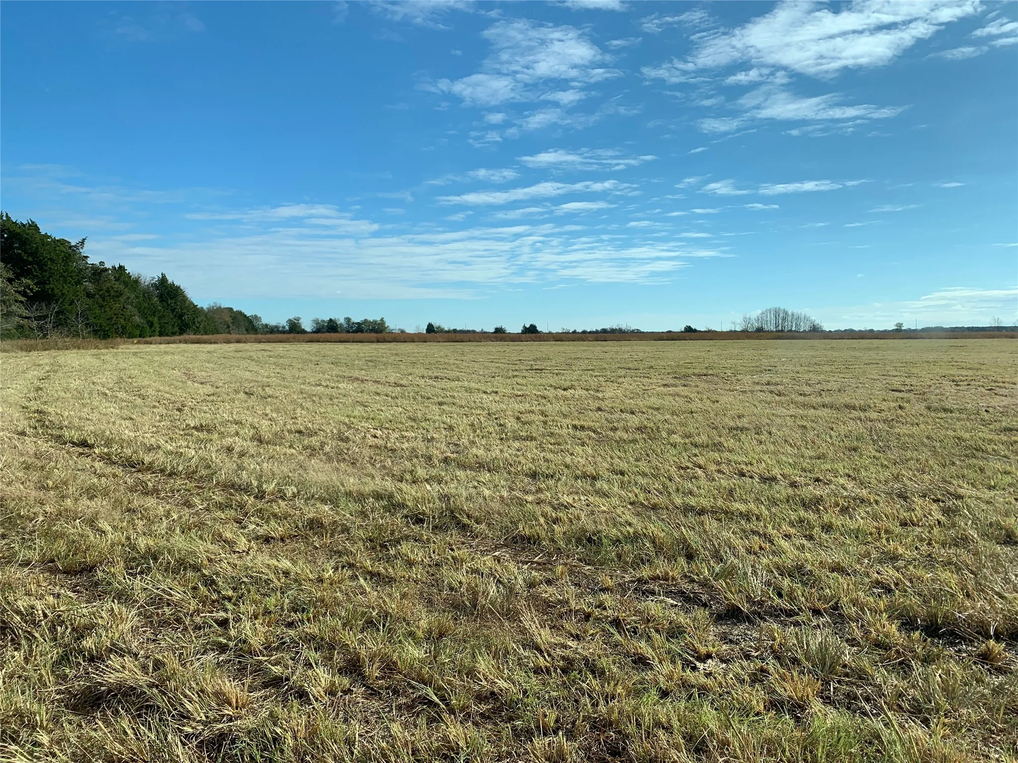 Unimproved Land For Sale in Navarro County , TBD SE County Road 4230, Kerens, Texas 75144, 0, 0, Garage spaces, 0 Sqft, built in 0, mls#21178816, Real Estate Agent in Kerens, Homes For Sale in Navarro county, Homes For Sale in Kerens, Realtor in Kerens Texas, Real Estate Brokerage Independent Realty Texas, Luminita Cordes Realtor