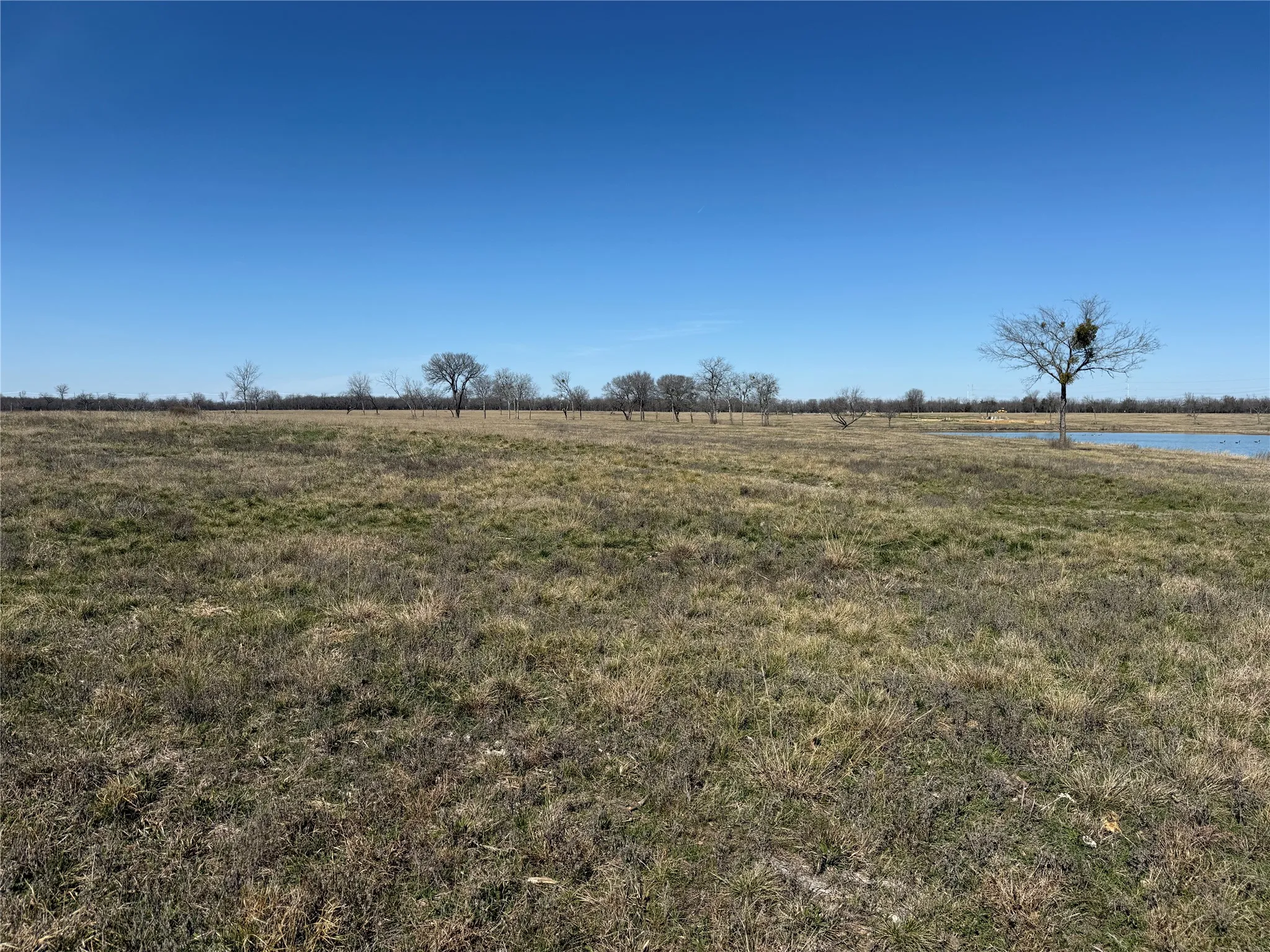 Unimproved Land For Sale in Navarro County , Lot 87 Bauer Boulevard, Corsicana, Texas 75109, 0, 0, Garage spaces, 0 Sqft, built in 0, Price $166,500, mls#21188654, Real Estate Agent in Corsicana, Homes For Sale in Navarro county, Homes For Sale in Corsicana, Realtor in Corsicana Texas, Real Estate Brokerage Independent Realty Texas, Luminita Cordes Realtor