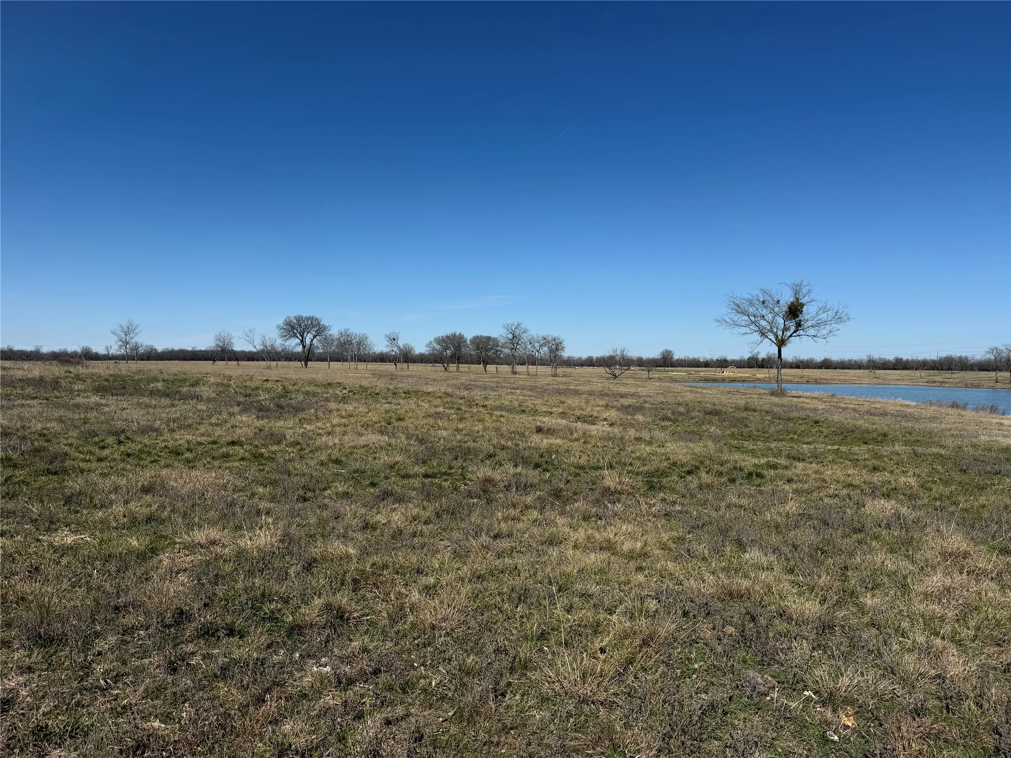 Unimproved Land For Sale in Navarro County , Lot 87 Bauer Boulevard, Corsicana, Texas 75109, 0, 0, Garage spaces, 0 Sqft, built in 0, Price $166,500, mls#21188654, Real Estate Agent in Corsicana, Homes For Sale in Navarro county, Homes For Sale in Corsicana, Realtor in Corsicana Texas, Real Estate Brokerage Independent Realty Texas, Luminita Cordes Realtor