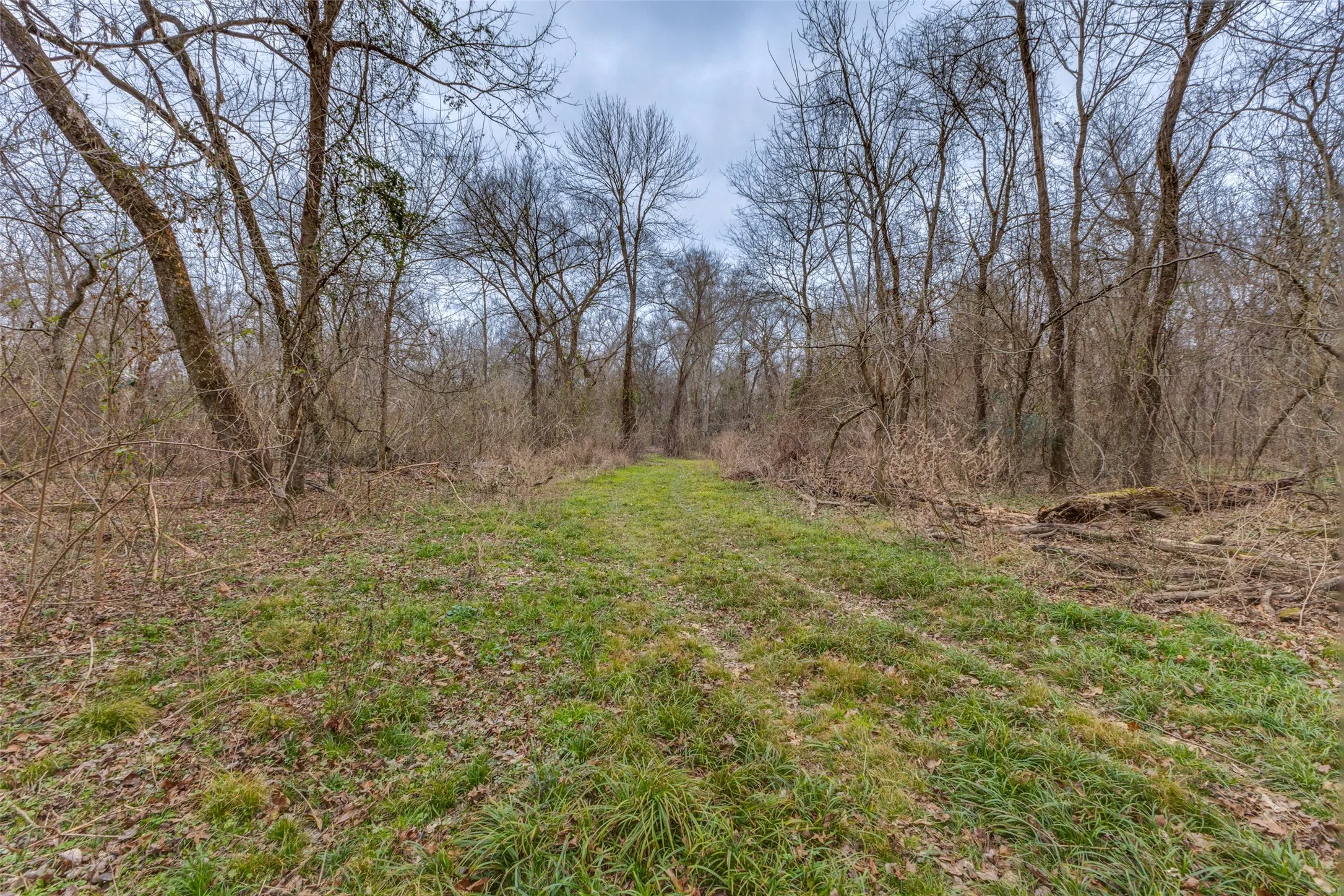 Single Family Residence For Sale in Hopkins County , 3025 Farm Road 900 W, Saltillo, Texas 75478, 3 Bedroom, 4 Bathroom, 2 Garage spaces, 6,528 Sqft, built in 2023, mls#21185155, Real Estate Agent in Saltillo, Homes For Sale in Hopkins county, Homes For Sale in Saltillo, Realtor in Saltillo Texas, Real Estate Brokerage Independent Realty Texas, Luminita Cordes Realtor