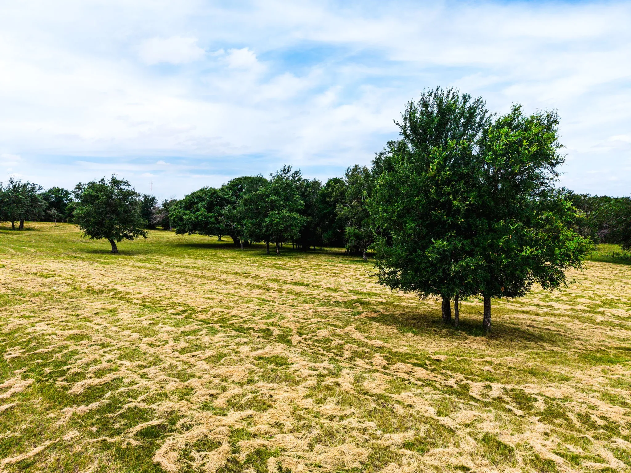 Farm For Sale in Lampasas County , 8089 Fm 580 E, Kempner, Texas 76539, 3 Bedroom, 2 Bathroom, 2 Garage spaces, 2,052 Sqft, built in 2008, mls#21186354, Real Estate Agent in Kempner, Homes For Sale in Lampasas county, Homes For Sale in Kempner, Realtor in Kempner Texas, Real Estate Brokerage Independent Realty Texas, Luminita Cordes Realtor