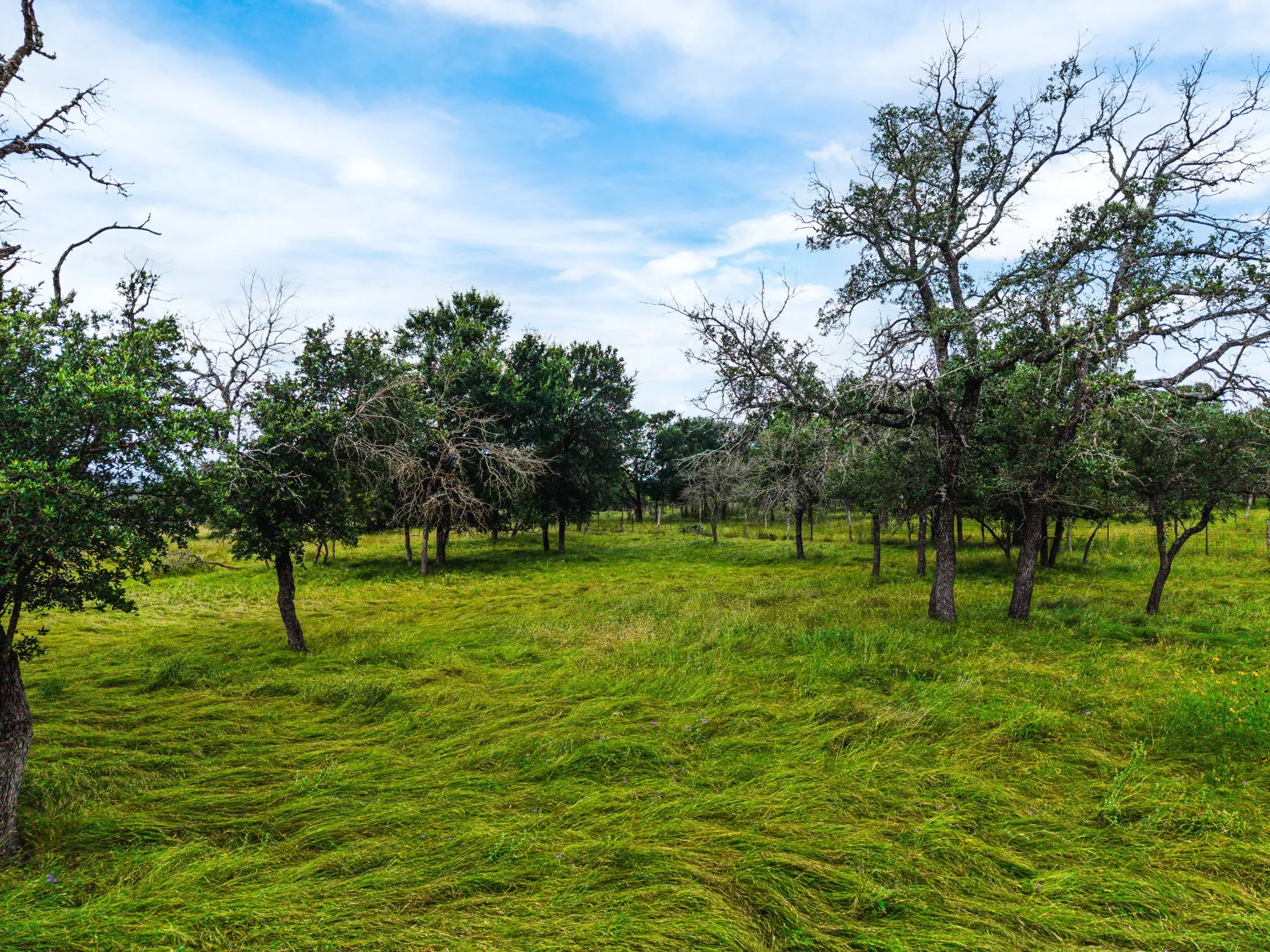 Farm For Sale in Lampasas County , 8089 Fm 580 E, Kempner, Texas 76539, 3 Bedroom, 2 Bathroom, 2 Garage spaces, 2,052 Sqft, built in 2008, mls#21186354, Real Estate Agent in Kempner, Homes For Sale in Lampasas county, Homes For Sale in Kempner, Realtor in Kempner Texas, Real Estate Brokerage Independent Realty Texas, Luminita Cordes Realtor