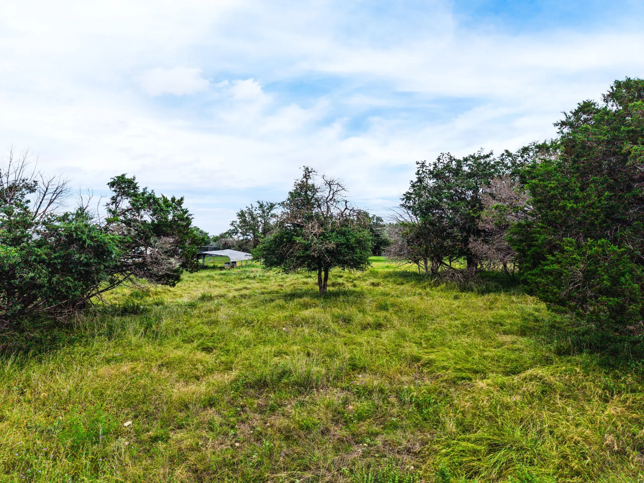 Farm For Sale in Lampasas County , 8089 Fm 580 E, Kempner, Texas 76539, 3 Bedroom, 2 Bathroom, 2 Garage spaces, 2,052 Sqft, built in 2008, mls#21186354, Real Estate Agent in Kempner, Homes For Sale in Lampasas county, Homes For Sale in Kempner, Realtor in Kempner Texas, Real Estate Brokerage Independent Realty Texas, Luminita Cordes Realtor