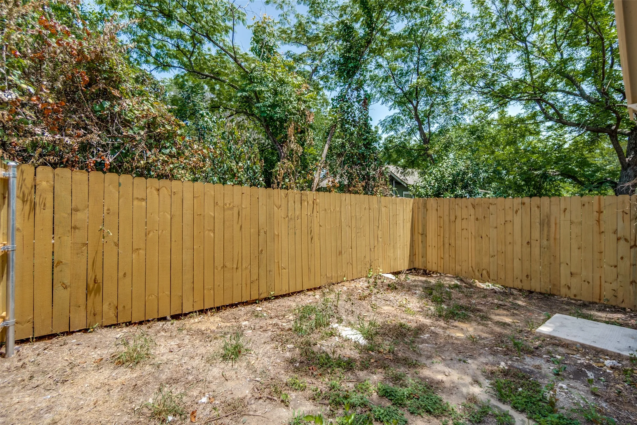 Backyard
