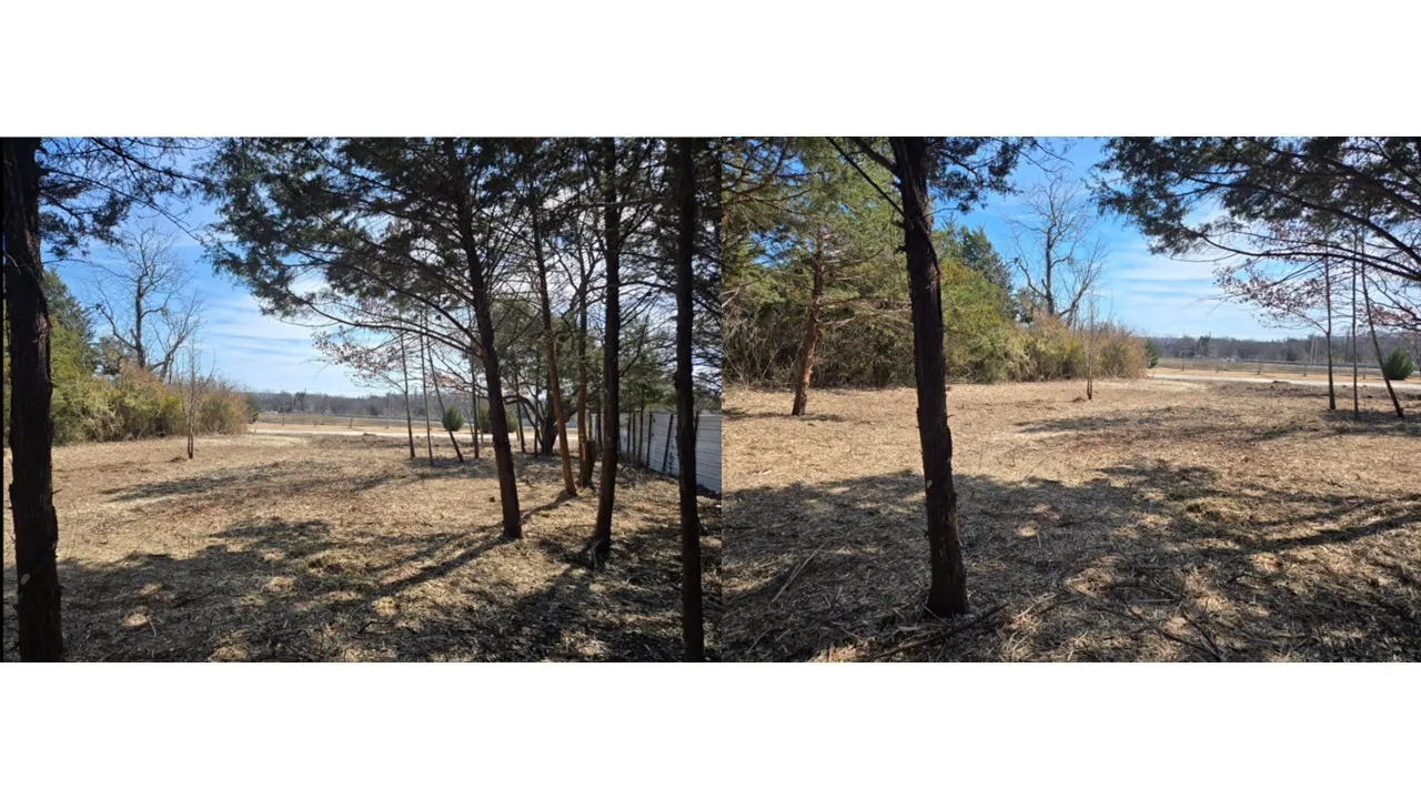 Unimproved Land For Sale in Dallas County , 3020 Columbine Avenue, Dallas, Texas 75241, 0, 0, Garage spaces, 0 Sqft, built in 0, mls#21189300, Real Estate Agent in Dallas, Homes For Sale in Dallas county, Homes For Sale in Dallas, Realtor in Dallas Texas, Real Estate Brokerage Independent Realty Texas, Luminita Cordes Realtor