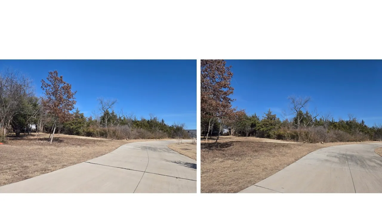 Unimproved Land For Sale in Dallas County , 3020 Columbine Avenue, Dallas, Texas 75241, 0, 0, Garage spaces, 0 Sqft, built in 0, mls#21189300, Real Estate Agent in Dallas, Homes For Sale in Dallas county, Homes For Sale in Dallas, Realtor in Dallas Texas, Real Estate Brokerage Independent Realty Texas, Luminita Cordes Realtor
