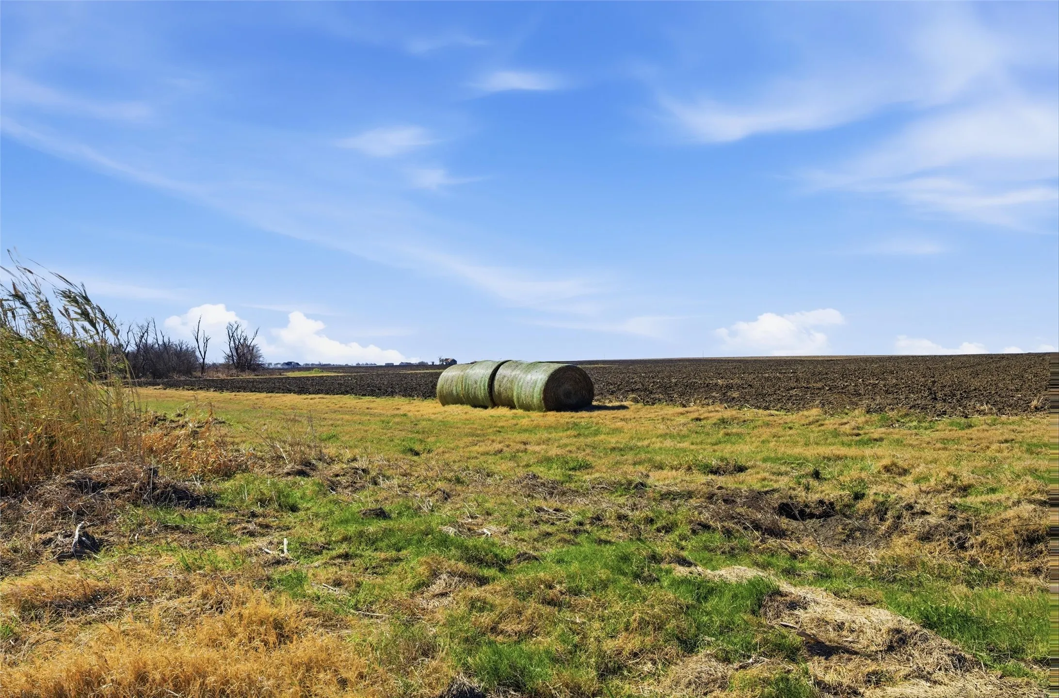 Improved Land For Sale in Hill County , TBD 1 FM-2114, Penelope, Texas 76676, 0, 0, Garage spaces, 0 Sqft, built in 0, mls#21188052, Real Estate Agent in Penelope, Homes For Sale in Hill county, Homes For Sale in Penelope, Realtor in Penelope Texas, Real Estate Brokerage Independent Realty Texas, Luminita Cordes Realtor