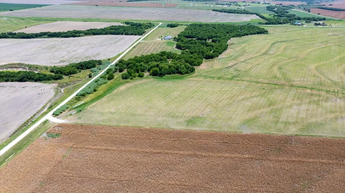 Improved Land For Sale in Hill County , TBD 1 FM-2114, Penelope, Texas 76676, 0, 0, Garage spaces, 0 Sqft, built in 0, mls#21188052, Real Estate Agent in Penelope, Homes For Sale in Hill county, Homes For Sale in Penelope, Realtor in Penelope Texas, Real Estate Brokerage Independent Realty Texas, Luminita Cordes Realtor