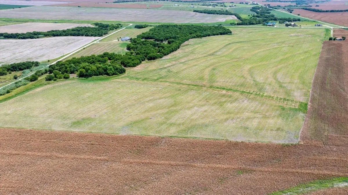 Improved Land For Sale in Hill County , TBD 1 FM-2114, Penelope, Texas 76676, 0, 0, Garage spaces, 0 Sqft, built in 0, mls#21188052, Real Estate Agent in Penelope, Homes For Sale in Hill county, Homes For Sale in Penelope, Realtor in Penelope Texas, Real Estate Brokerage Independent Realty Texas, Luminita Cordes Realtor