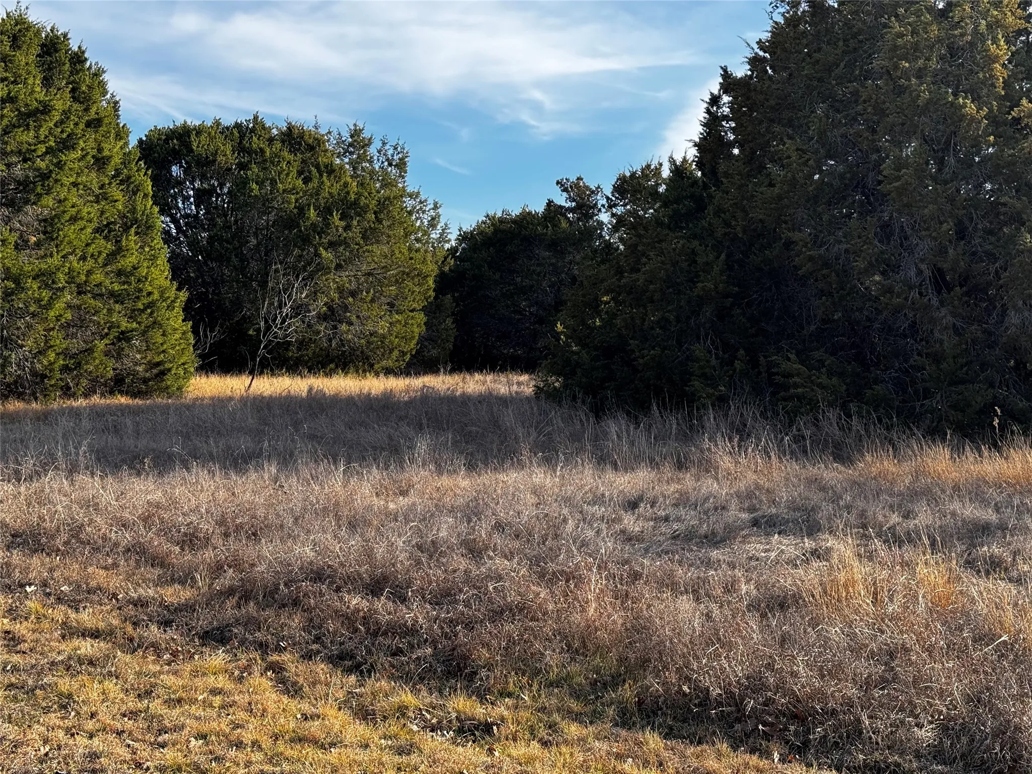 Unimproved Land For Sale in Hill County , 43096 Coneflower, Whitney, Texas 76692, 0, 0, Garage spaces, 0 Sqft, built in 0, mls#21187393, Real Estate Agent in Whitney, Homes For Sale in Hill county, Homes For Sale in Whitney, Realtor in Whitney Texas, Real Estate Brokerage Independent Realty Texas, Luminita Cordes Realtor