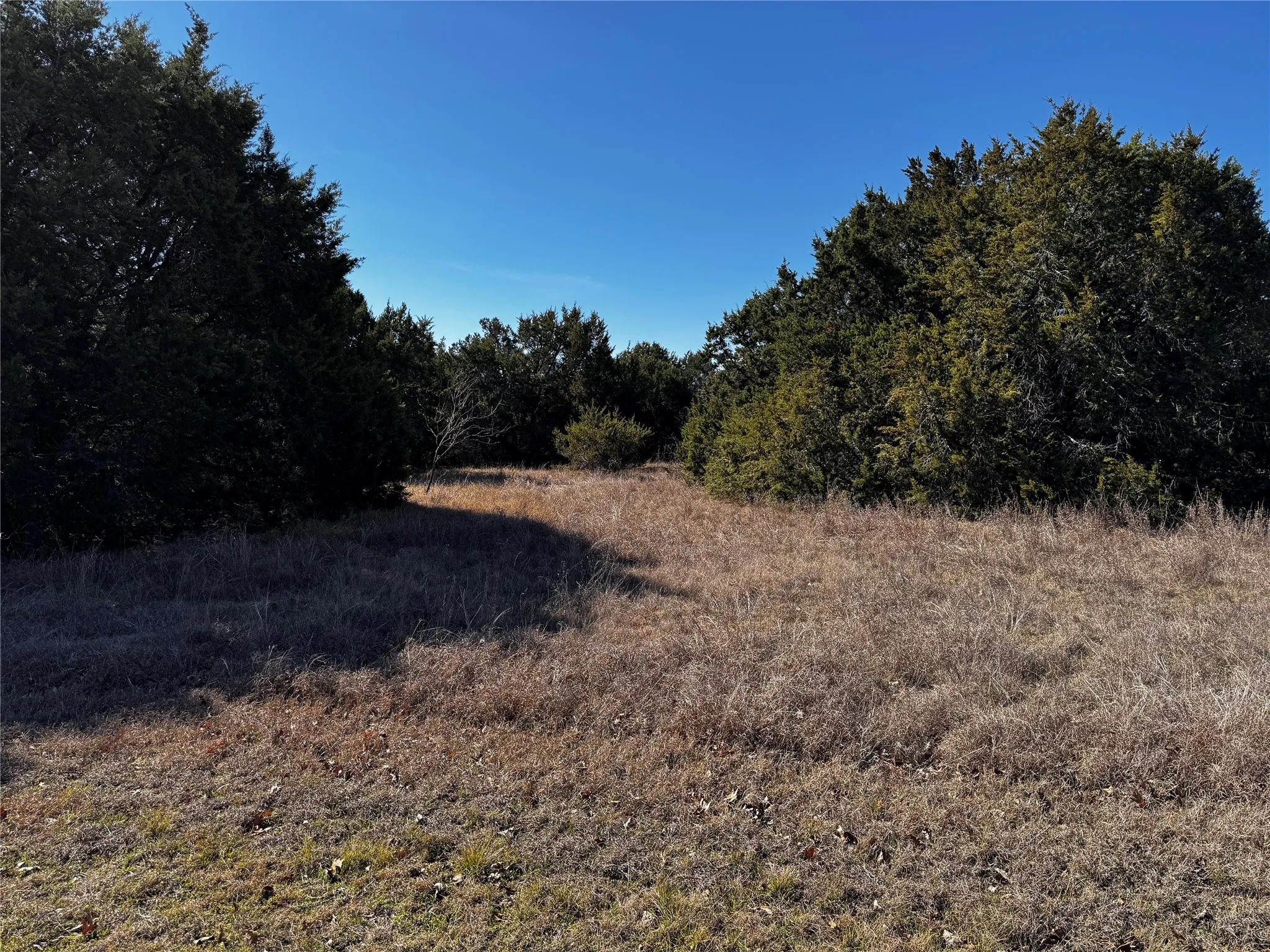 Unimproved Land For Sale in Hill County , 43096 Coneflower, Whitney, Texas 76692, 0, 0, Garage spaces, 0 Sqft, built in 0, mls#21187393, Real Estate Agent in Whitney, Homes For Sale in Hill county, Homes For Sale in Whitney, Realtor in Whitney Texas, Real Estate Brokerage Independent Realty Texas, Luminita Cordes Realtor