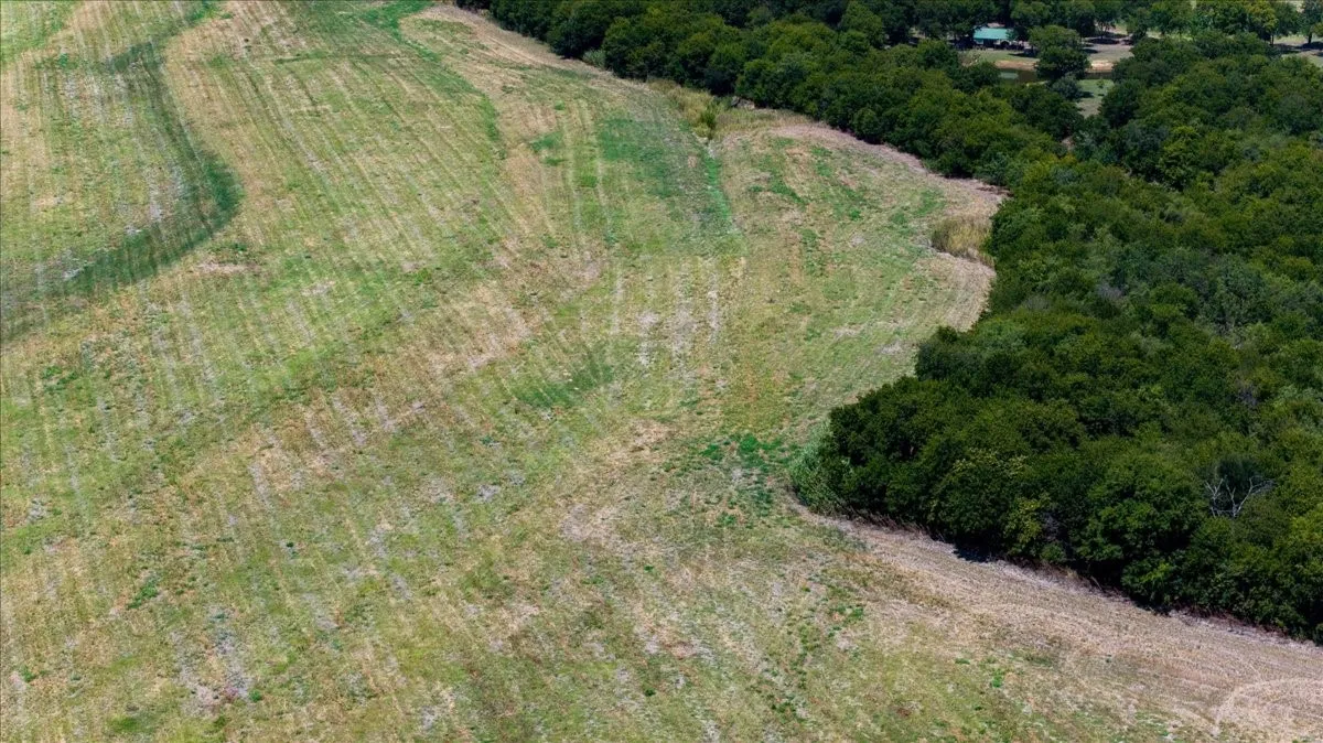 Improved Land For Sale in Hill County , TBD 2 FM 2114 Road, Penelope, Texas 76676, 0, 0, Garage spaces, 0 Sqft, built in 0, mls#21188146, Real Estate Agent in Penelope, Homes For Sale in Hill county, Homes For Sale in Penelope, Realtor in Penelope Texas, Real Estate Brokerage Independent Realty Texas, Luminita Cordes Realtor
