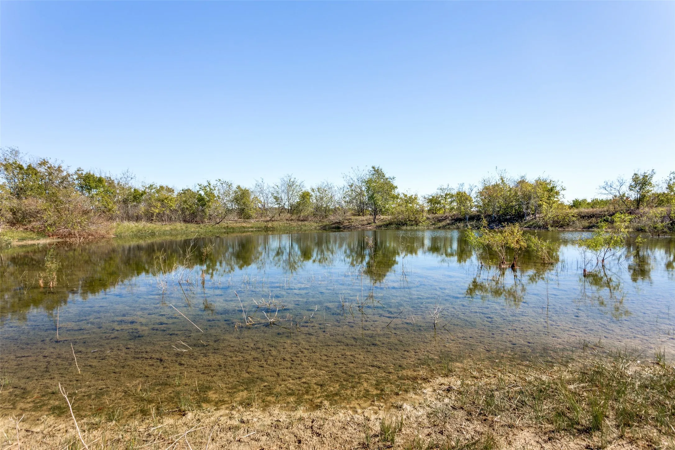 Unimproved Land For Sale in Ellis County , 430 Jackson Road, Maypearl, Texas 76064, 0, 0, Garage spaces, 0 Sqft, built in 0, mls#21186852, Real Estate Agent in Maypearl, Homes For Sale in Ellis county, Homes For Sale in Maypearl, Realtor in Maypearl Texas, Real Estate Brokerage Independent Realty Texas, Luminita Cordes Realtor