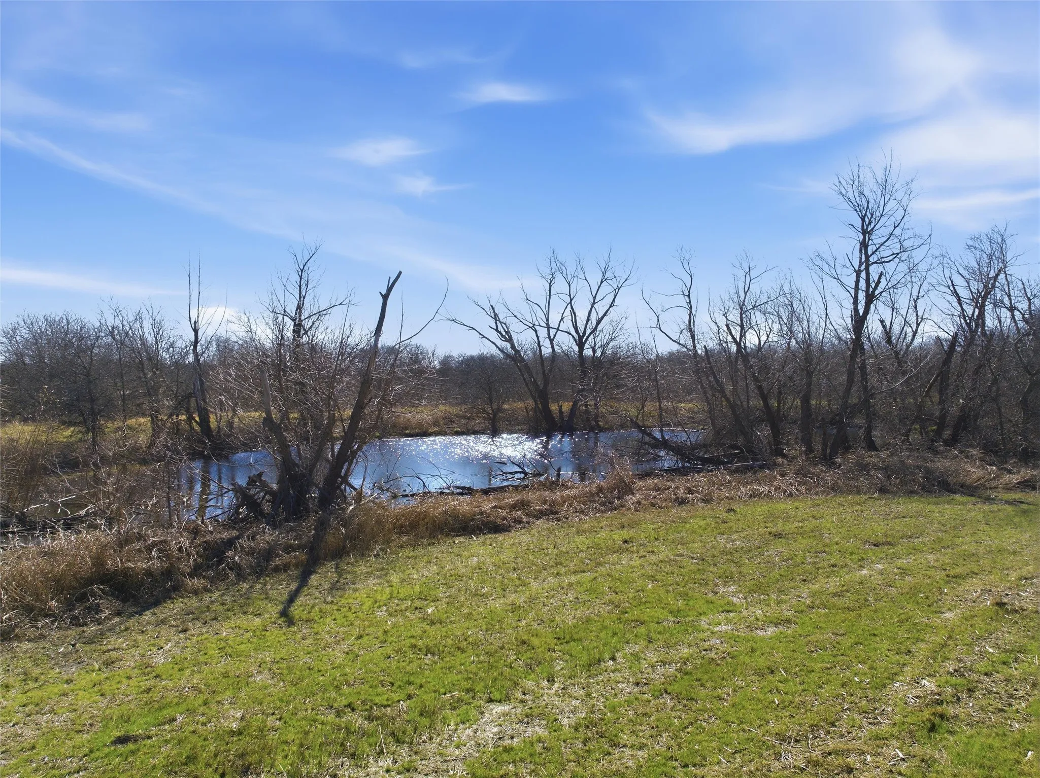 Improved Land For Sale in Hill County , TBD 3 LCR 3212, Penelope, Texas 76676, 0, 0, Garage spaces, 0 Sqft, built in 0, mls#21189370, Real Estate Agent in Penelope, Homes For Sale in Hill county, Homes For Sale in Penelope, Realtor in Penelope Texas, Real Estate Brokerage Independent Realty Texas, Luminita Cordes Realtor