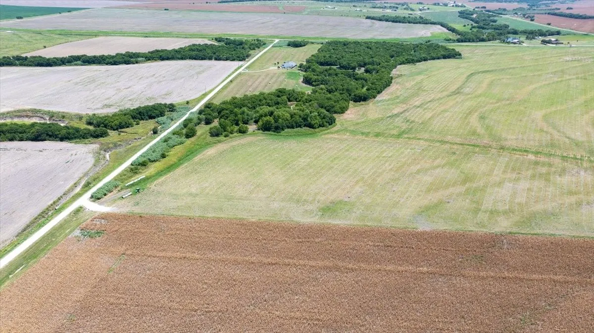 Improved Land For Sale in Hill County , TBD 3 LCR 3212, Penelope, Texas 76676, 0, 0, Garage spaces, 0 Sqft, built in 0, mls#21189370, Real Estate Agent in Penelope, Homes For Sale in Hill county, Homes For Sale in Penelope, Realtor in Penelope Texas, Real Estate Brokerage Independent Realty Texas, Luminita Cordes Realtor