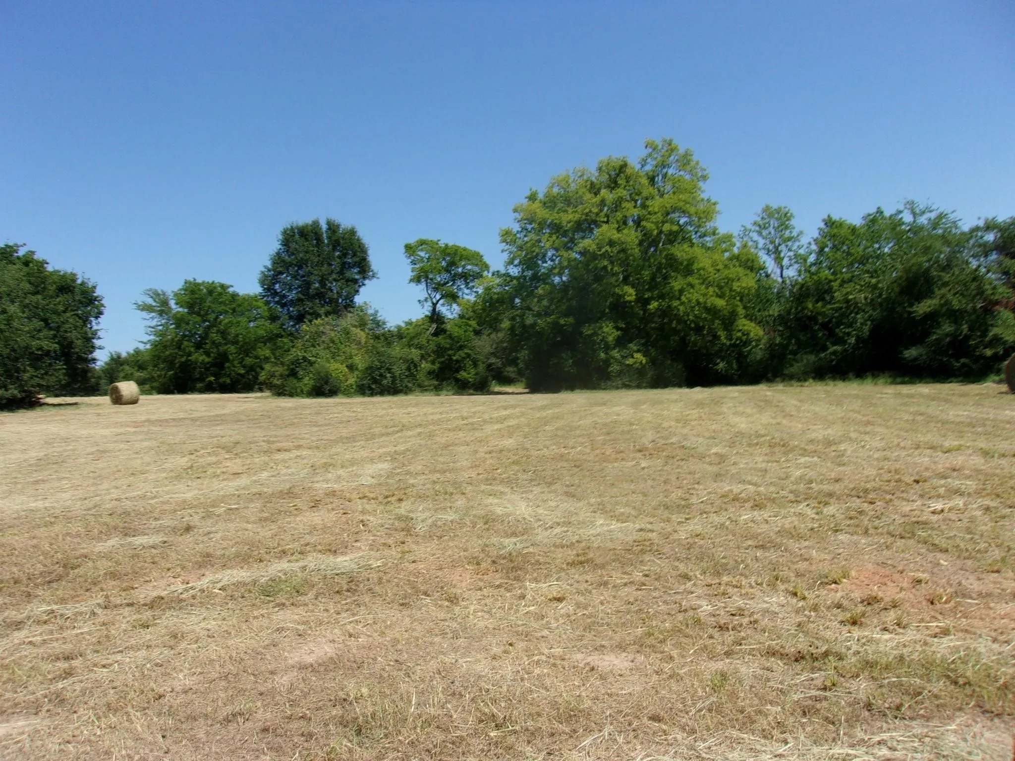 Ranch For Sale in Hopkins County , 2846 County Road 2415, Pickton, Texas 75471, 0, 0, Garage spaces, 0 Sqft, built in 0, Price $384,120, mls#21189481, Real Estate Agent in Pickton, Homes For Sale in Hopkins county, Homes For Sale in Pickton, Realtor in Pickton Texas, Real Estate Brokerage Independent Realty Texas, Luminita Cordes Realtor