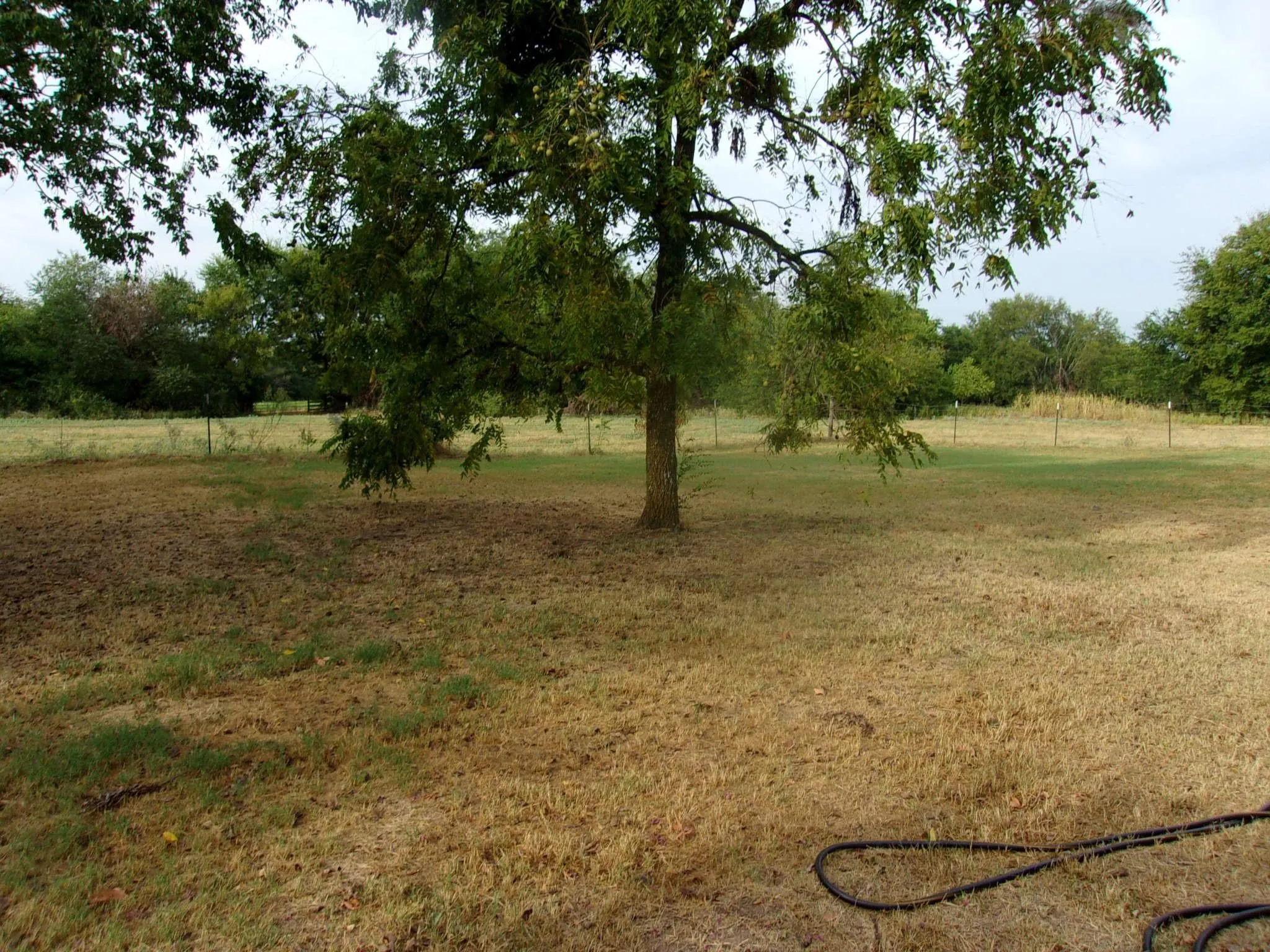 Ranch For Sale in Hopkins County , 2846 County Road 2415, Pickton, Texas 75471, 0, 0, Garage spaces, 0 Sqft, built in 0, Price $384,120, mls#21189481, Real Estate Agent in Pickton, Homes For Sale in Hopkins county, Homes For Sale in Pickton, Realtor in Pickton Texas, Real Estate Brokerage Independent Realty Texas, Luminita Cordes Realtor